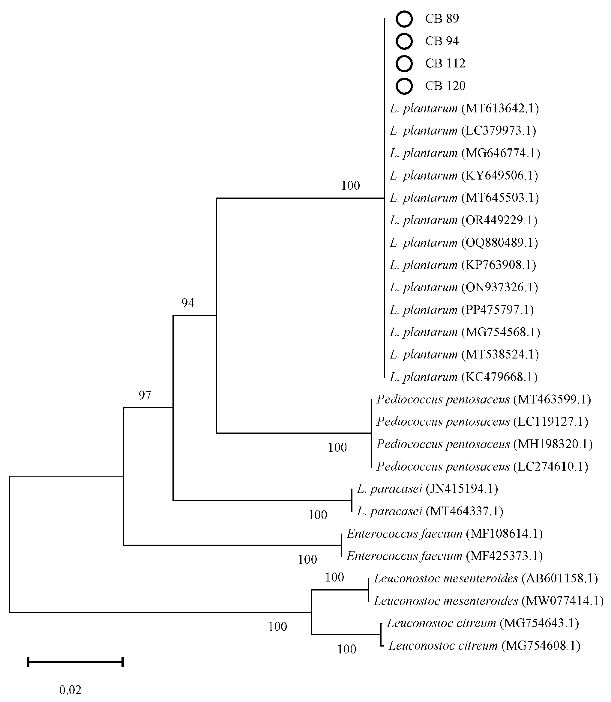 Fermentation 10 00282 g002