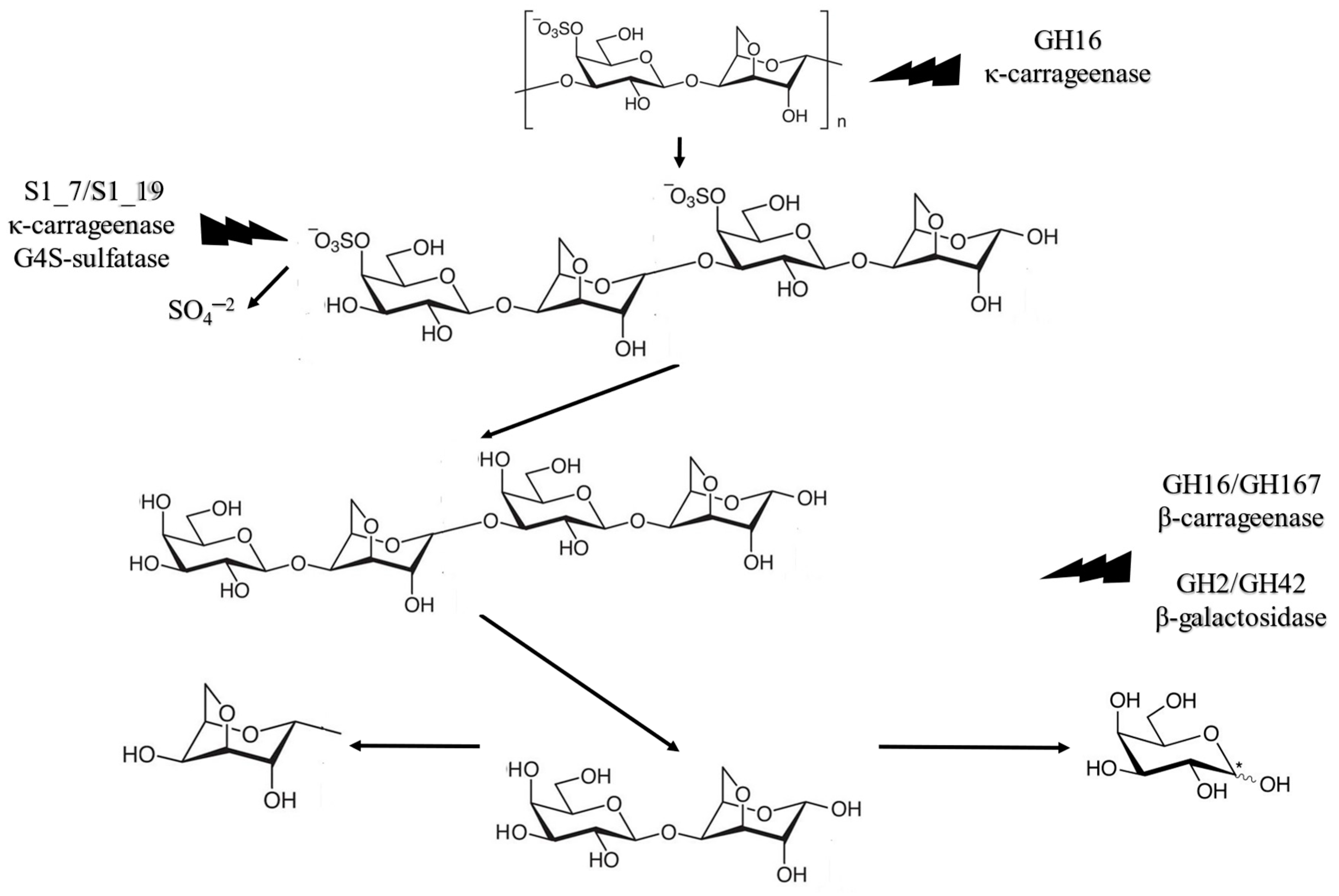 Fermentation 10 00283 g005