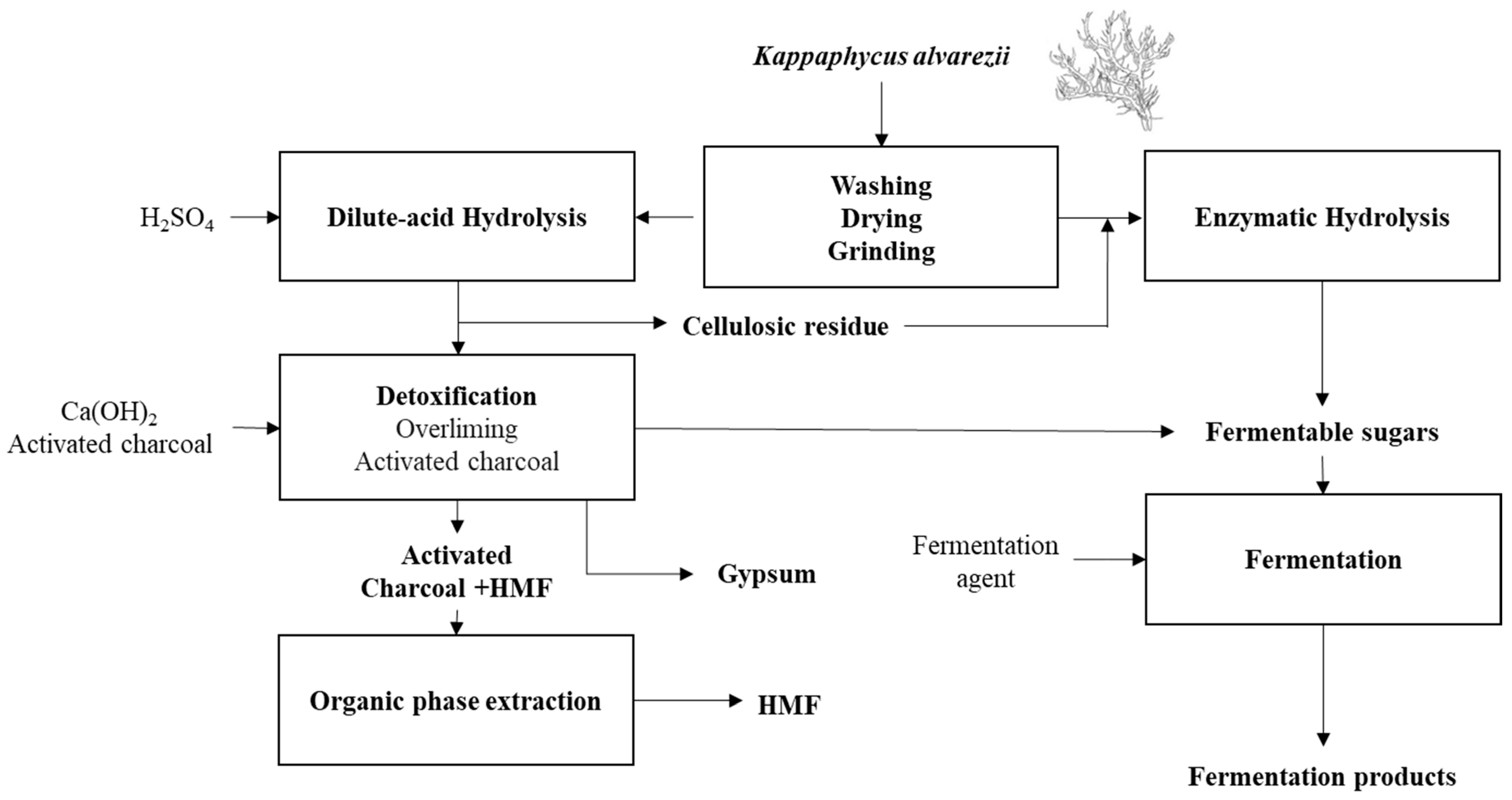 Fermentation 10 00283 g007