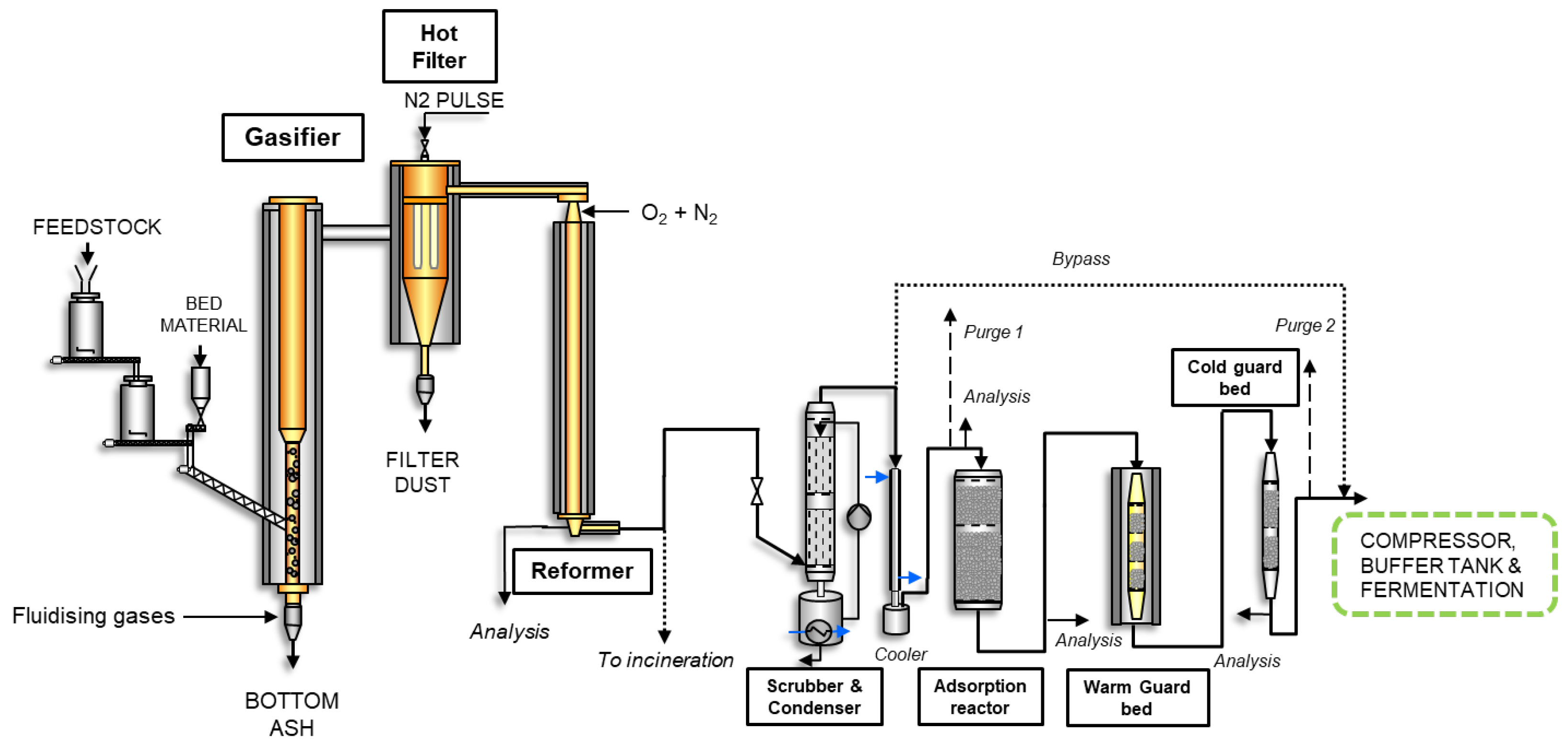 Fermentation 10 00285 g001