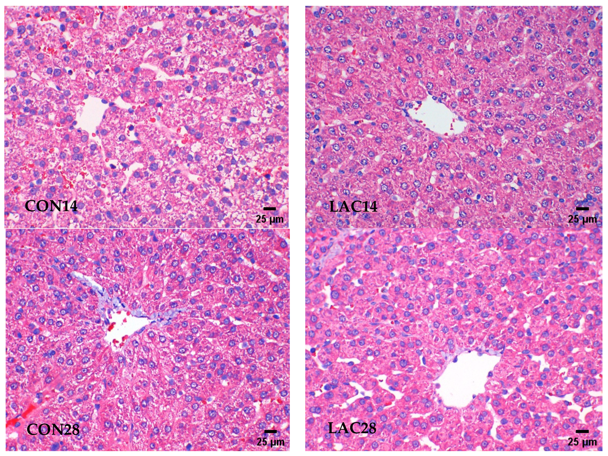 Fermentation 10 00286 g001