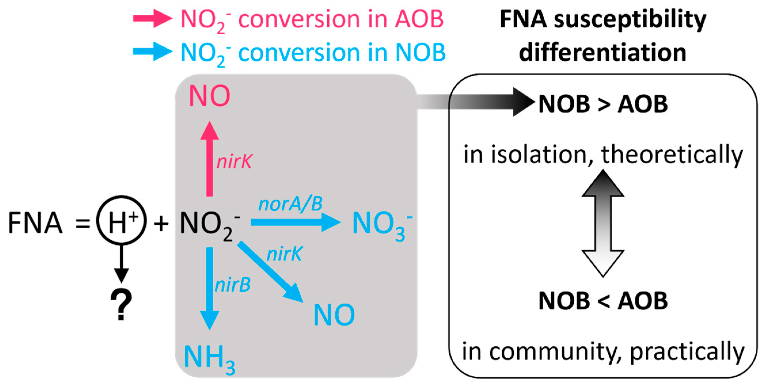 Fermentation 10 00289 g003