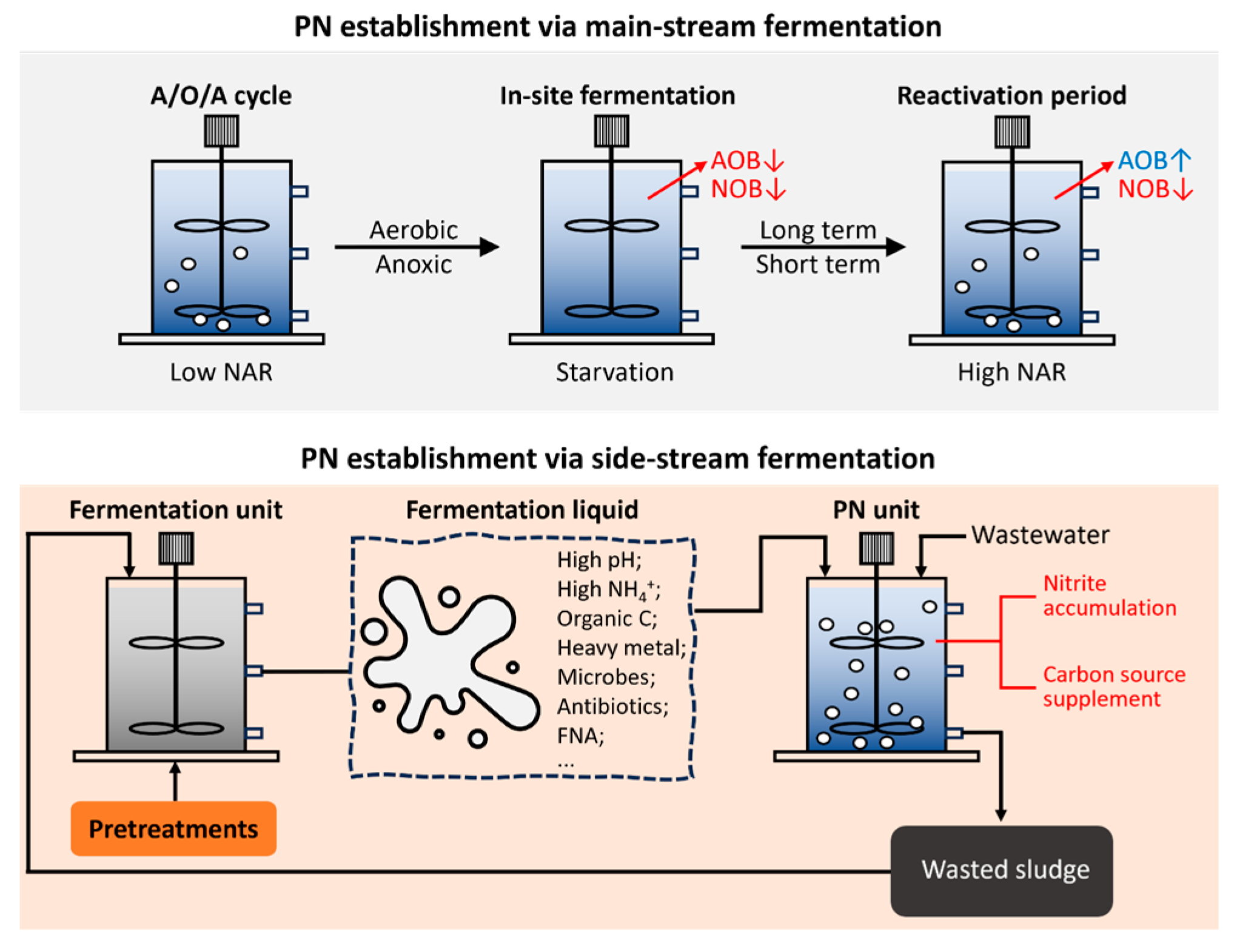 Fermentation 10 00289 g005