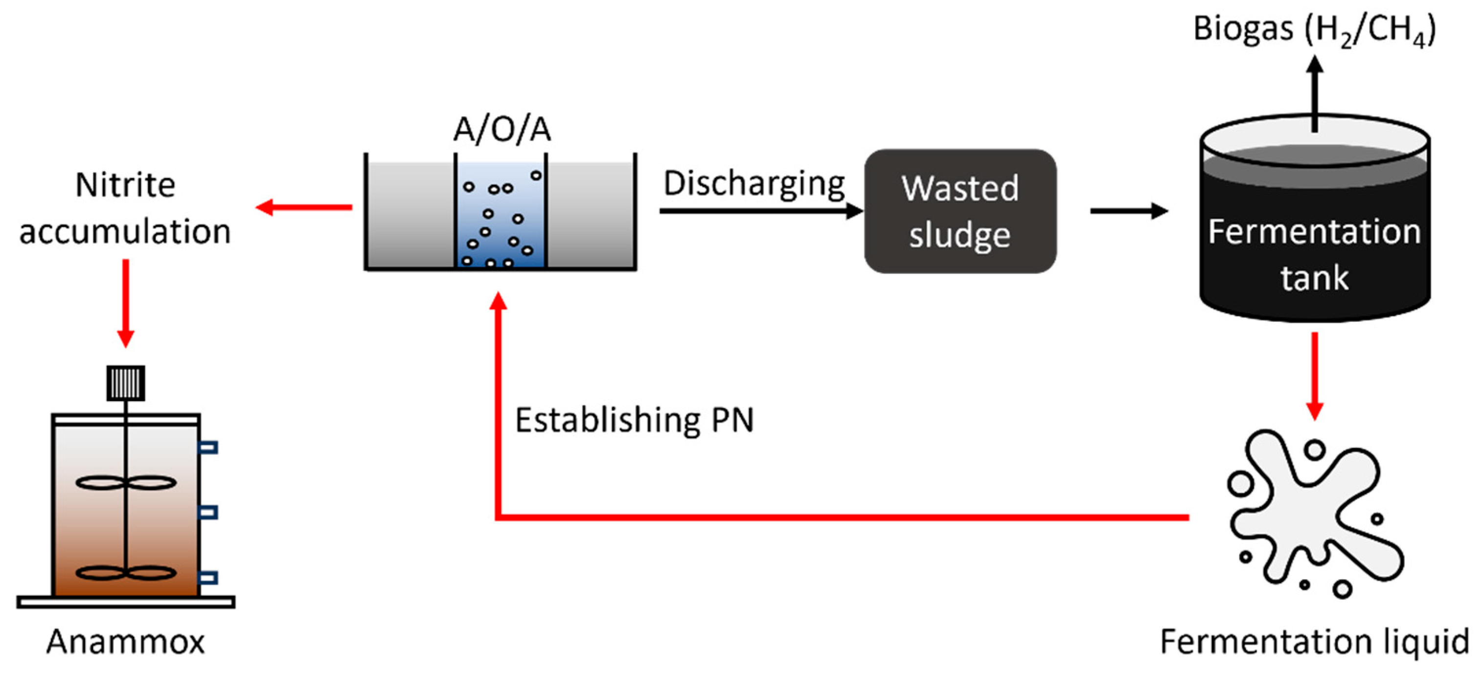 Fermentation 10 00289 g006