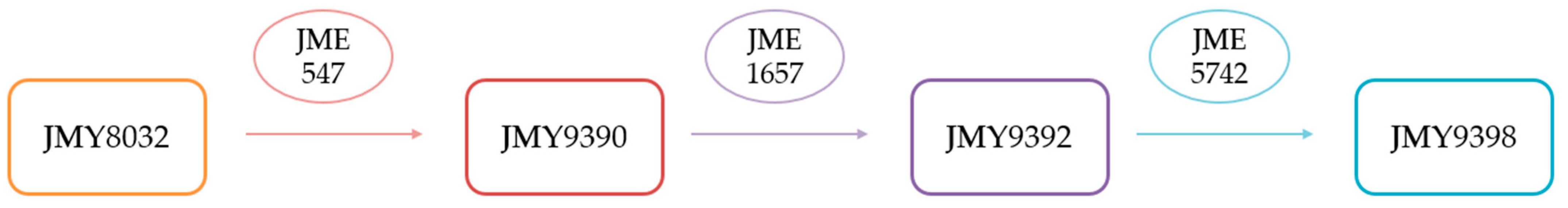 Fermentation 10 00290 g001
