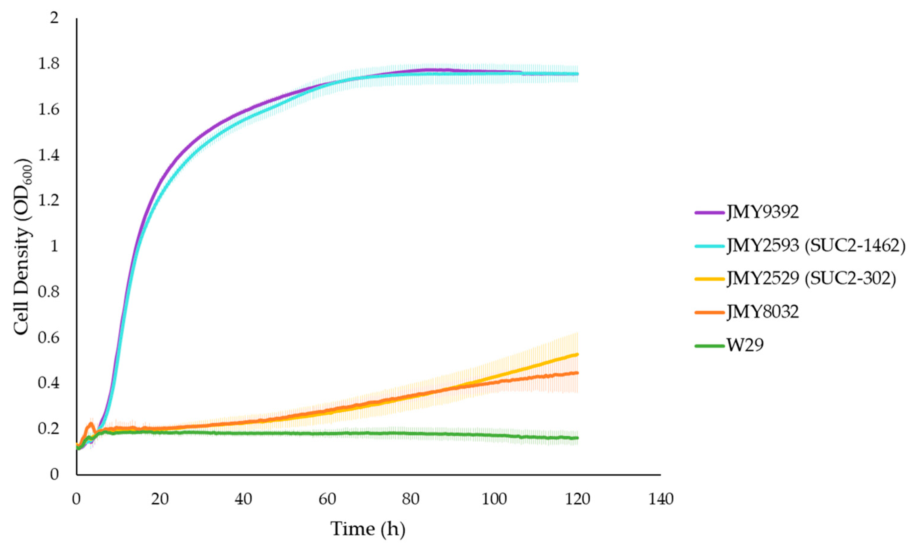 Fermentation 10 00290 g002