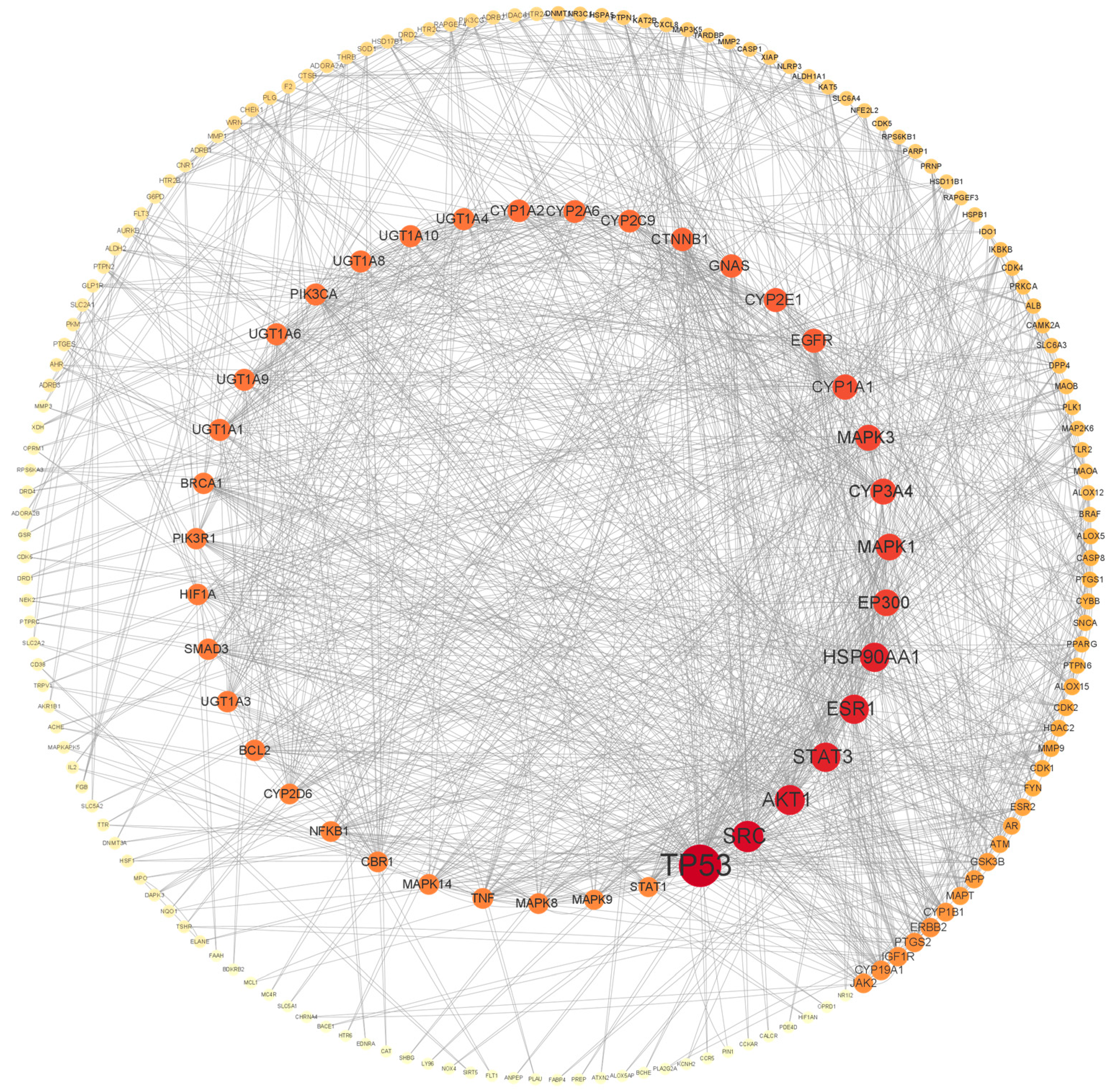 Fermentation 10 00294 g001