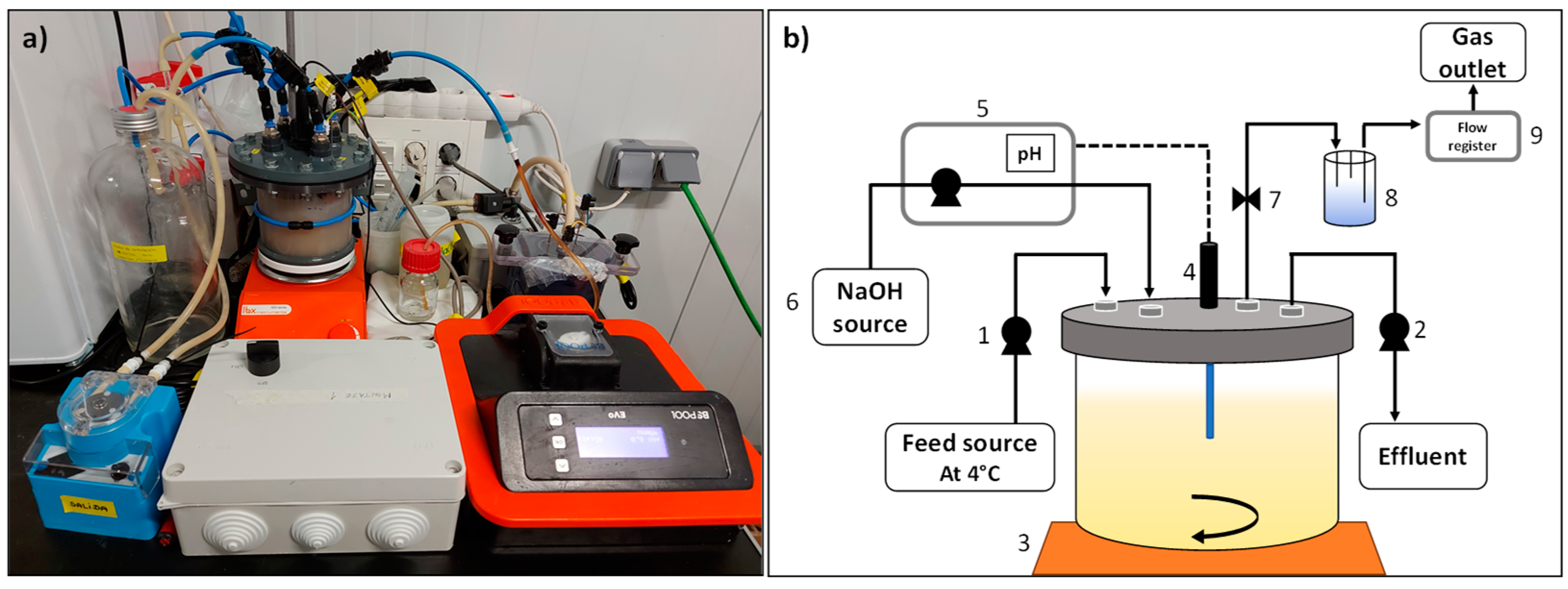 Fermentation 10 00296 g001