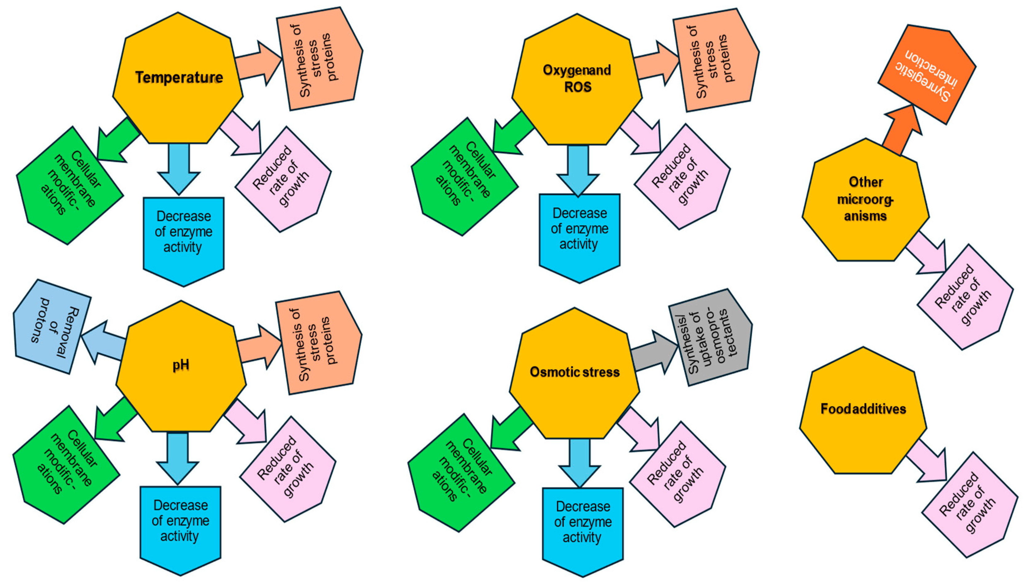 Fermentation 10 00298 g002