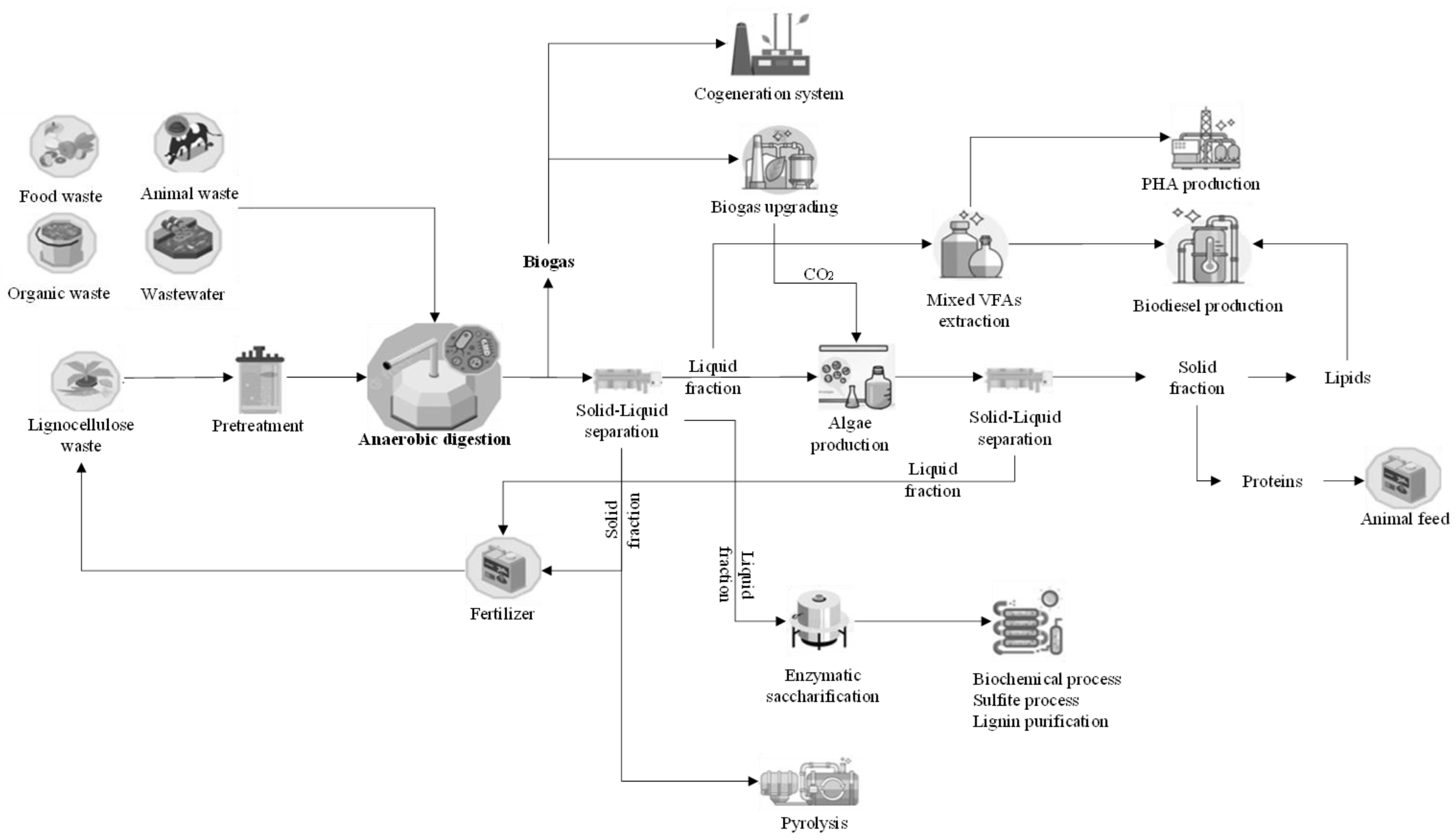 Fermentation 10 00300 g001