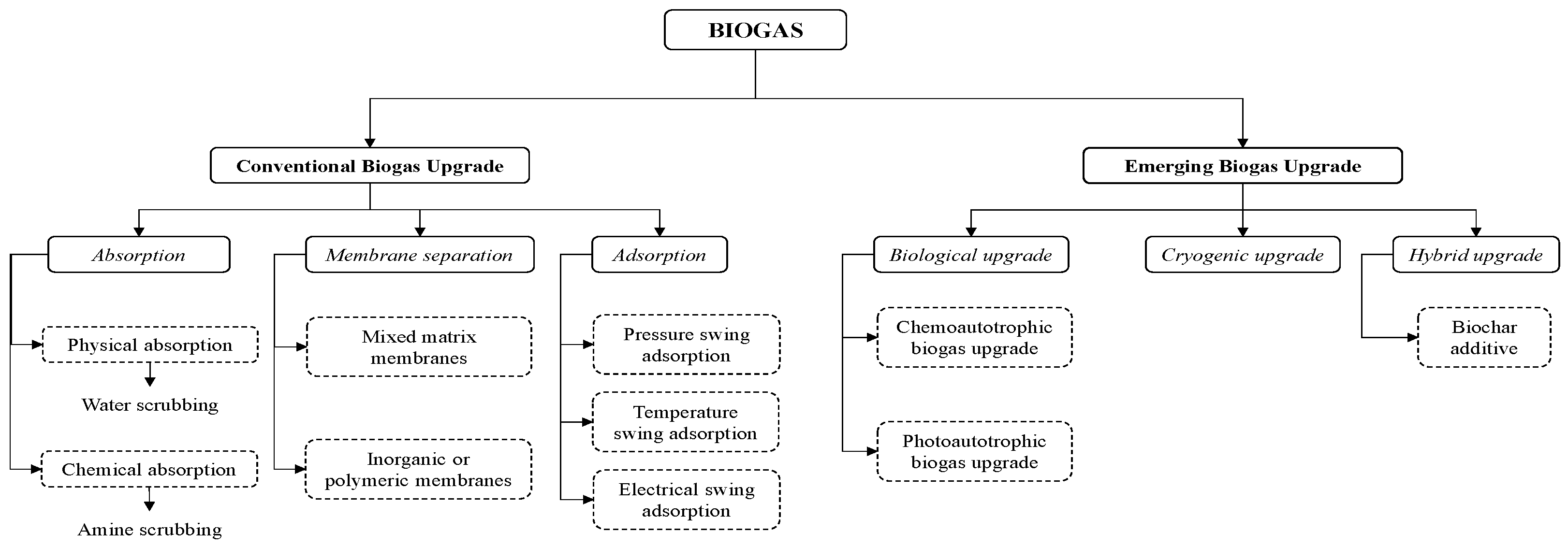 Fermentation 10 00300 g004