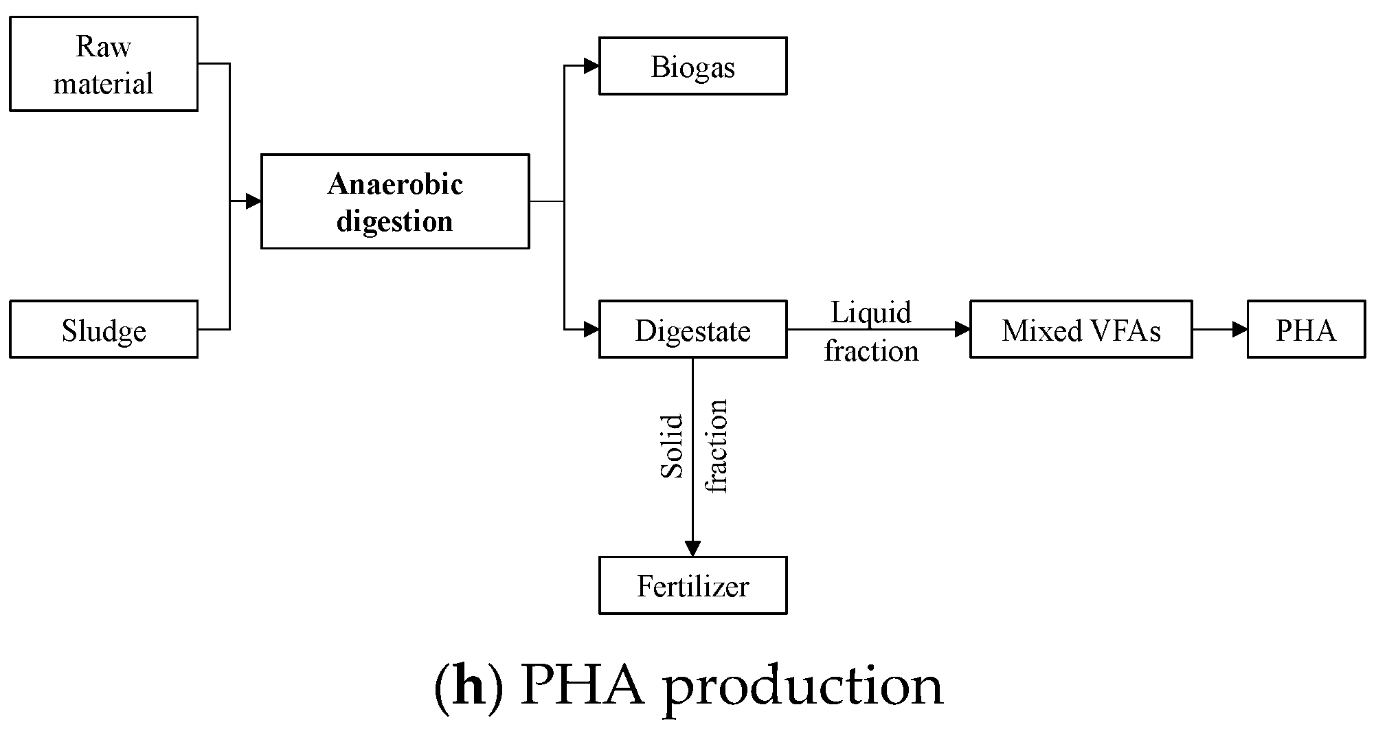 Fermentation 10 00300 g005b
