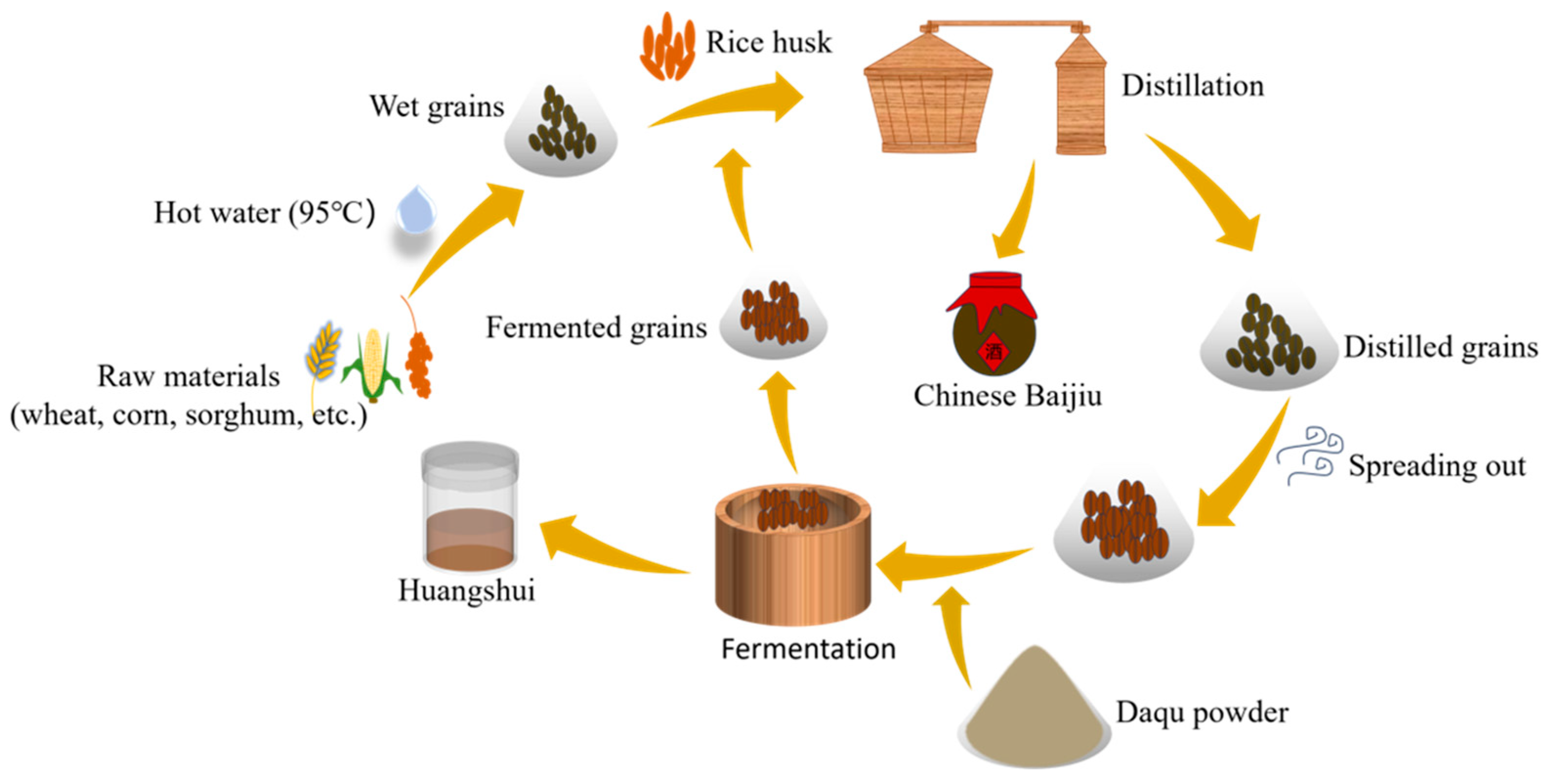 Fermentation 10 00310 g001