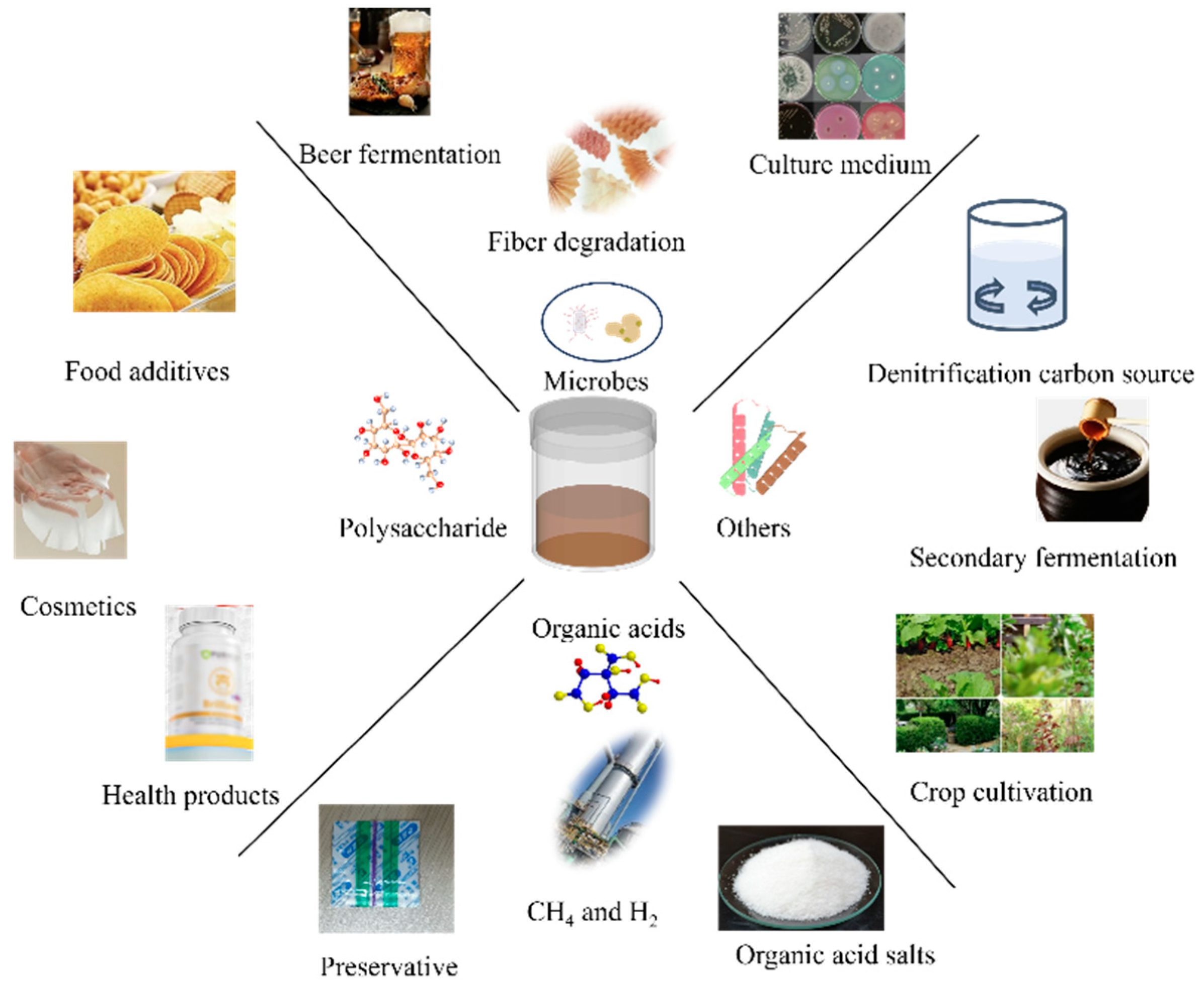Fermentation 10 00310 g002
