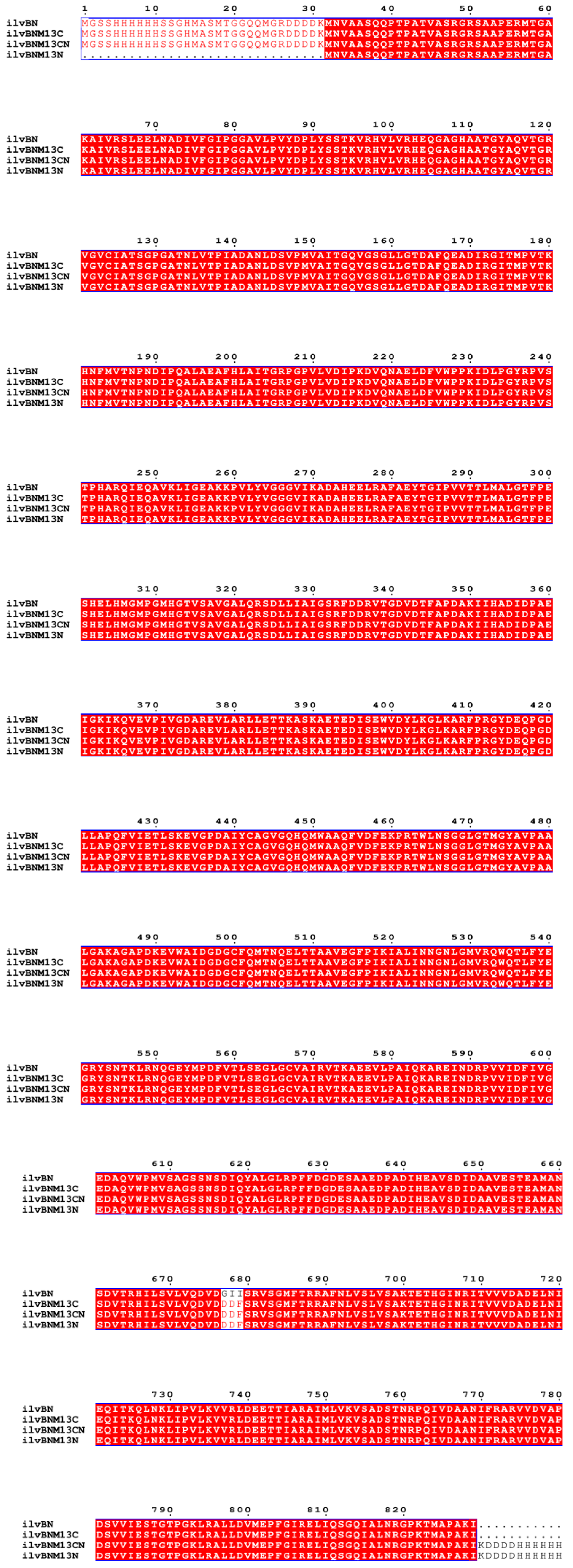 Fermentation 10 00311 g001