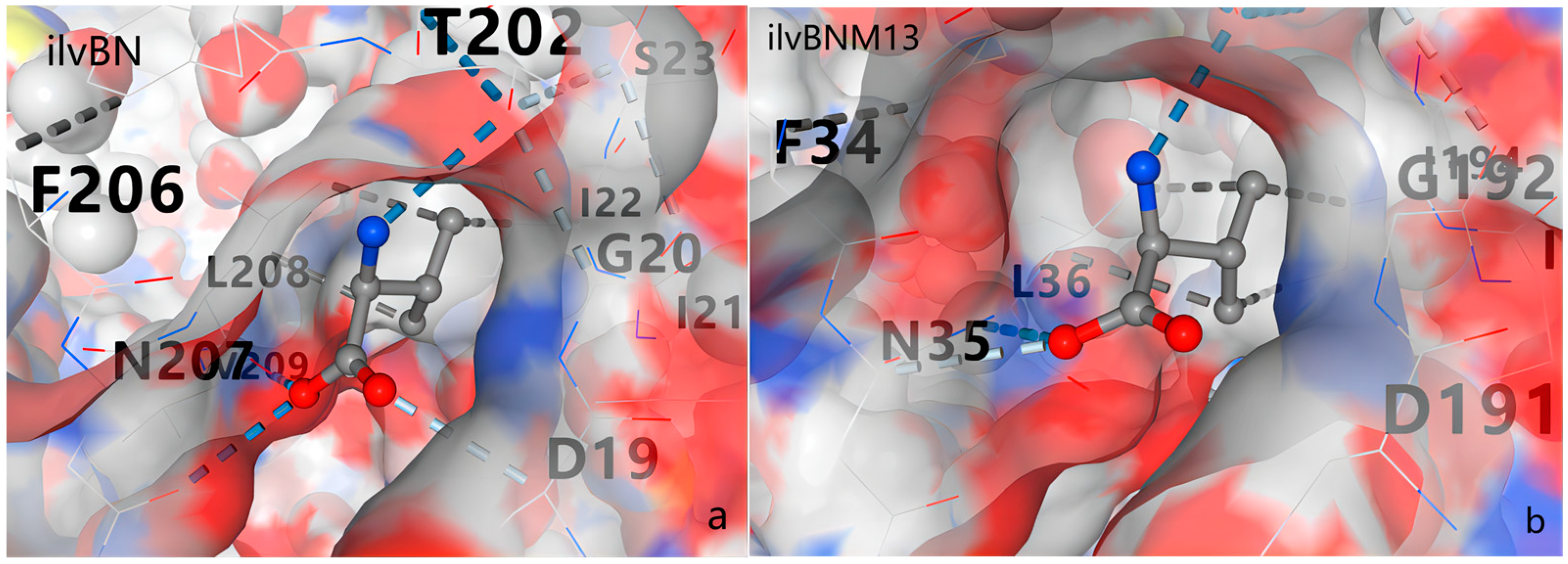 Fermentation 10 00311 g012