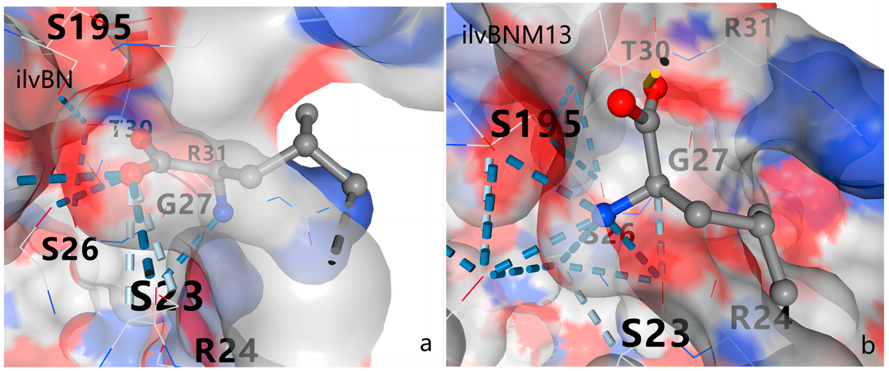 Fermentation 10 00311 g013