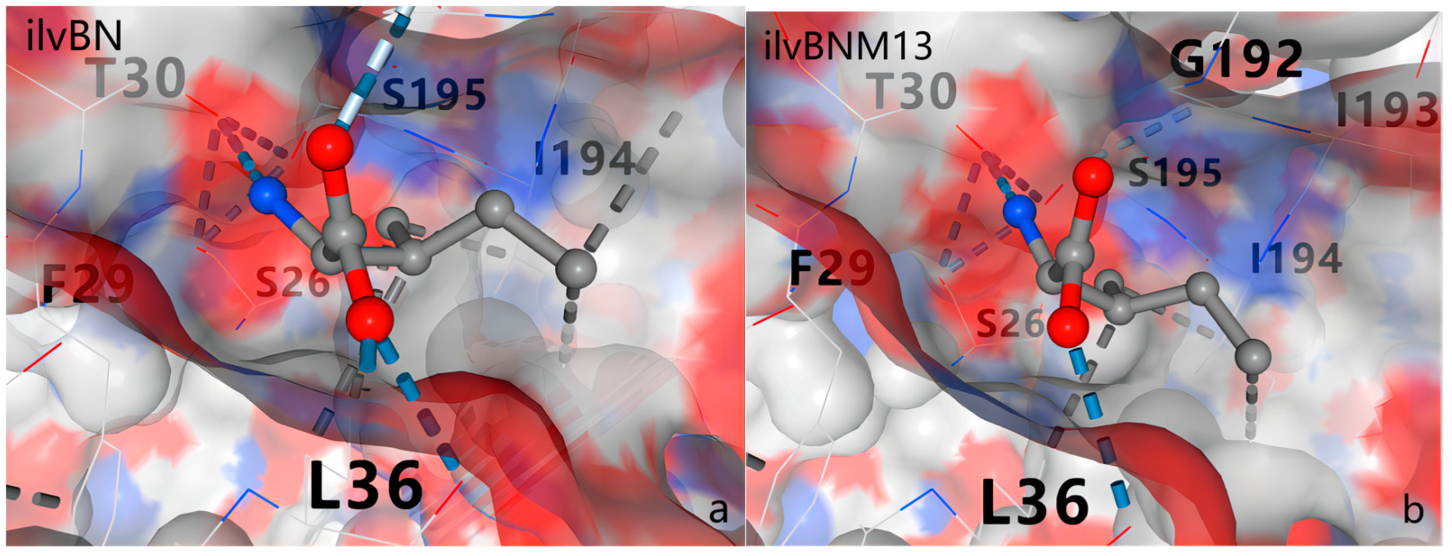 Fermentation 10 00311 g014