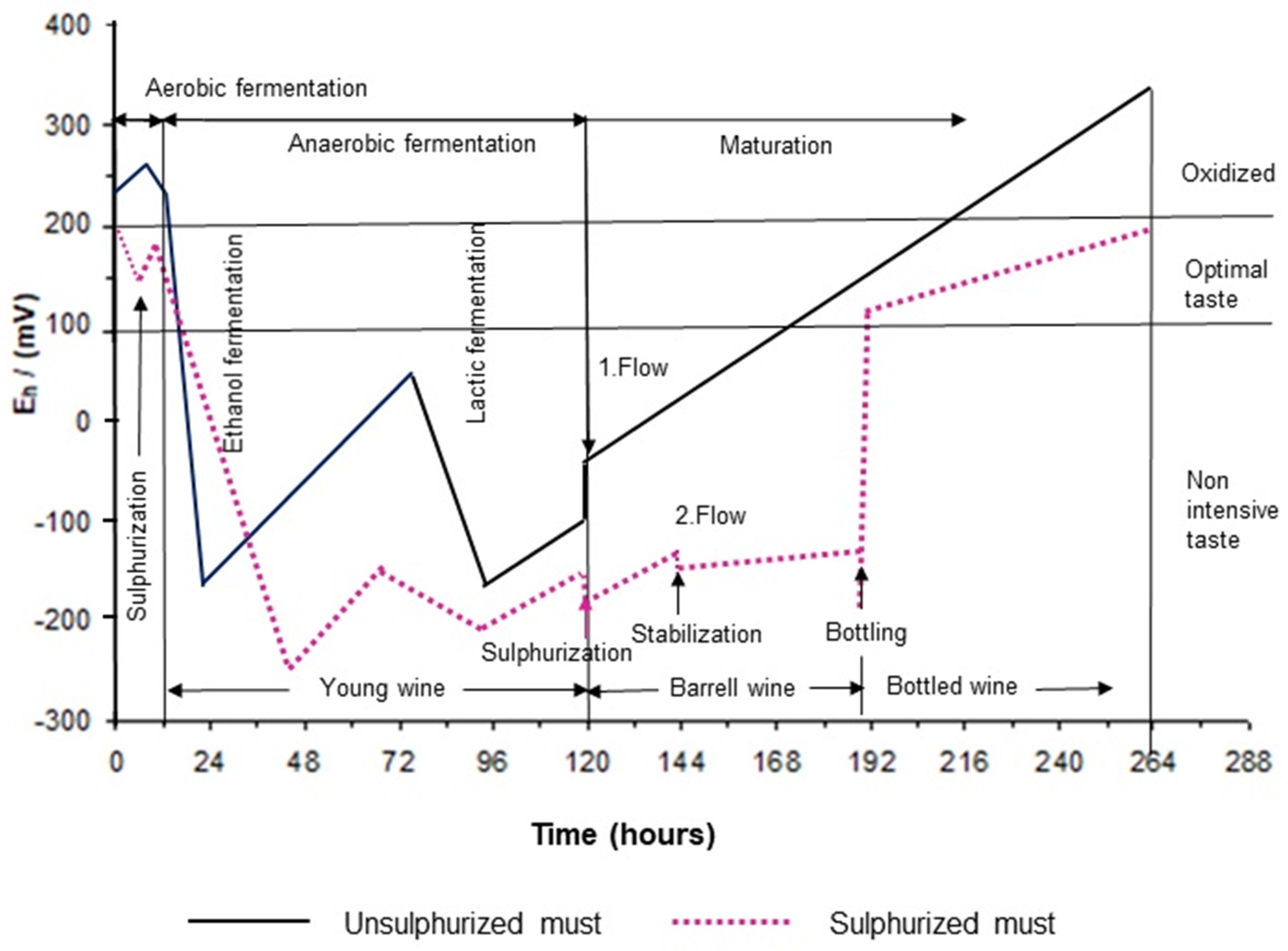 Fermentation 10 00312 g001