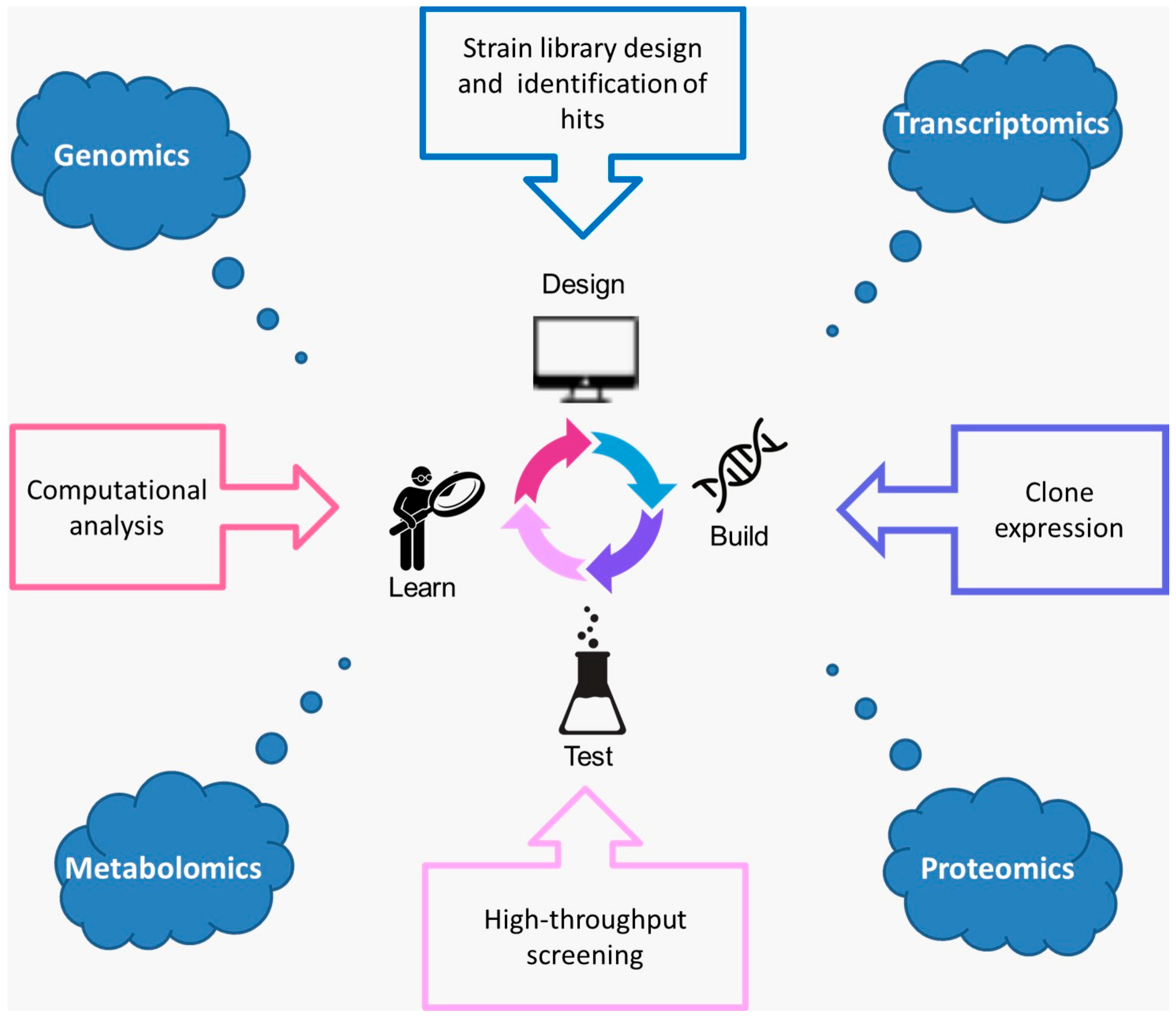 Fermentation 10 00315 g002