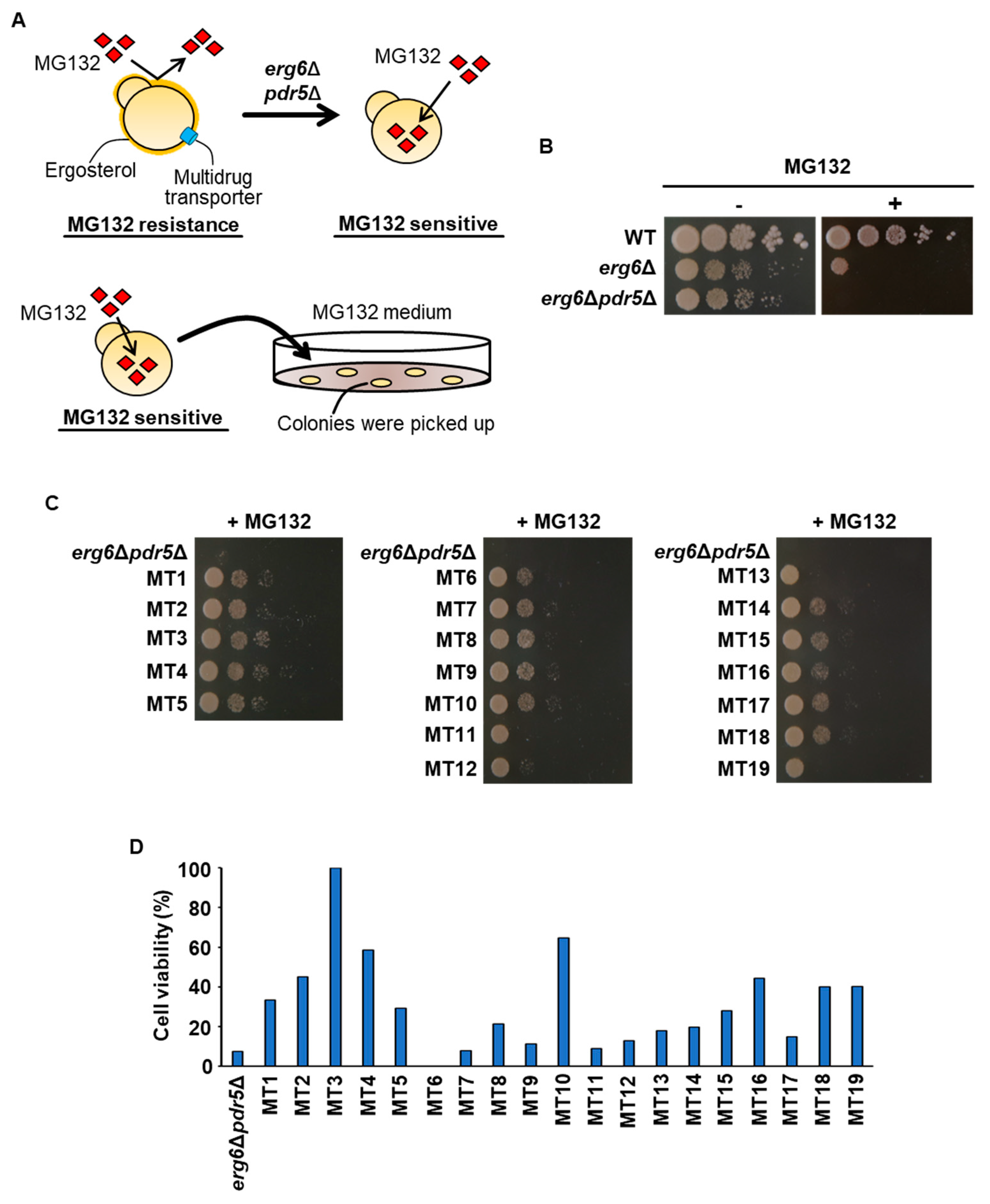 Fermentation 10 00318 g001