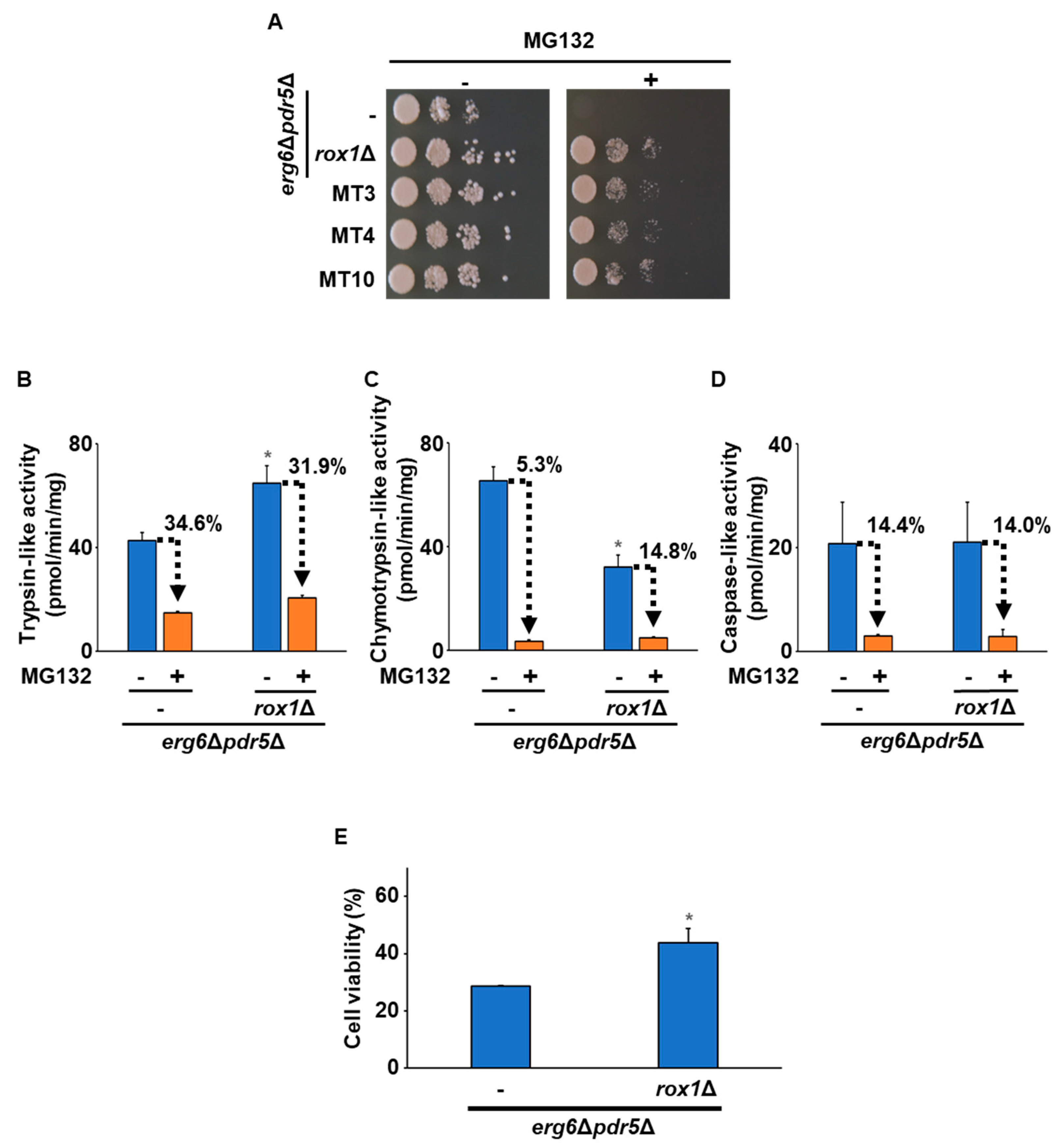 Fermentation 10 00318 g003