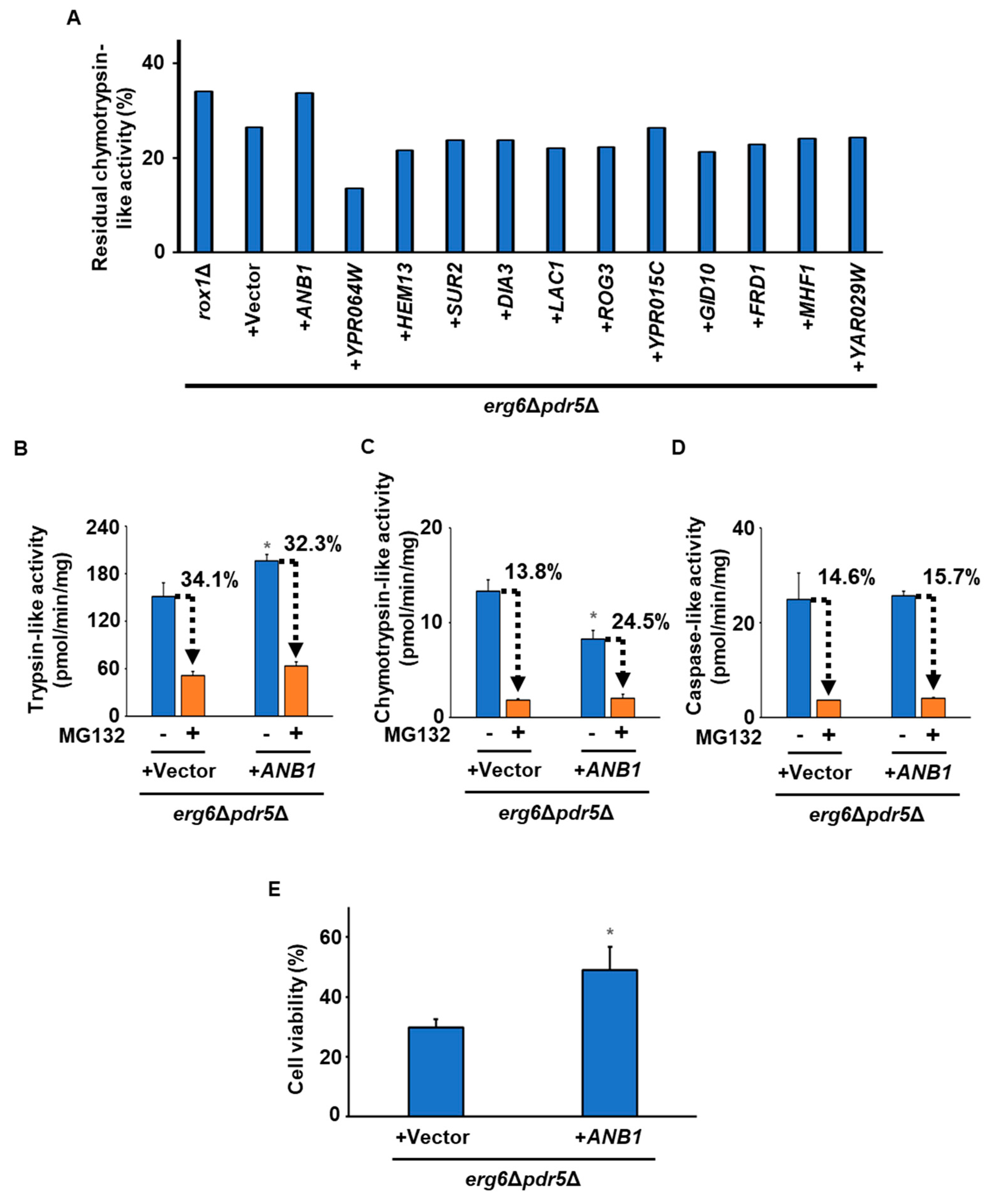 Fermentation 10 00318 g005