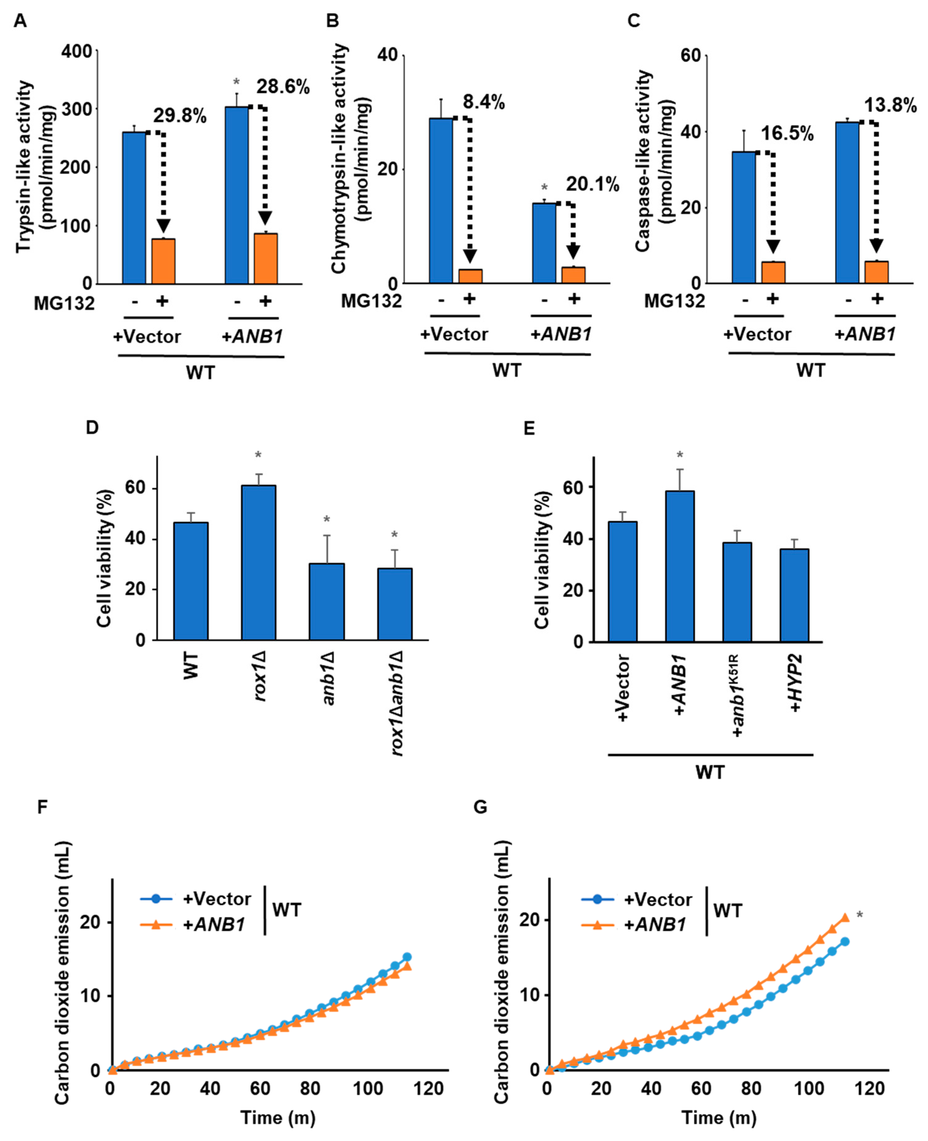 Fermentation 10 00318 g006