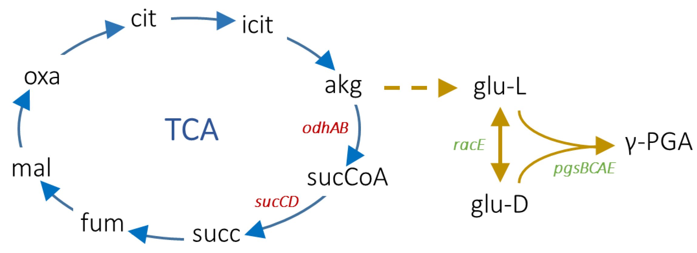 Fermentation 10 00319 g001 Fermentation 10 00319 g001