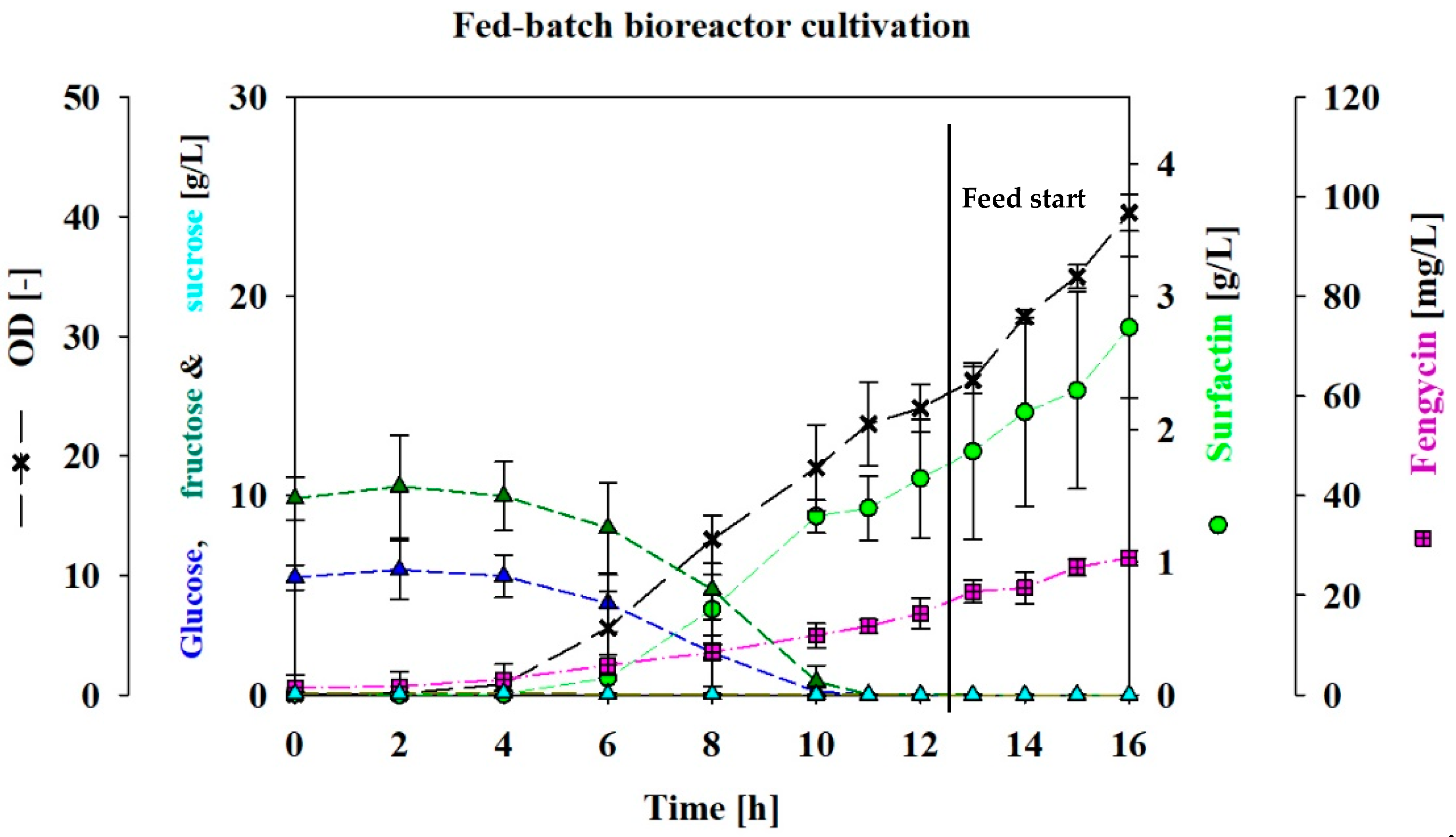 Fermentation 10 00323 g002