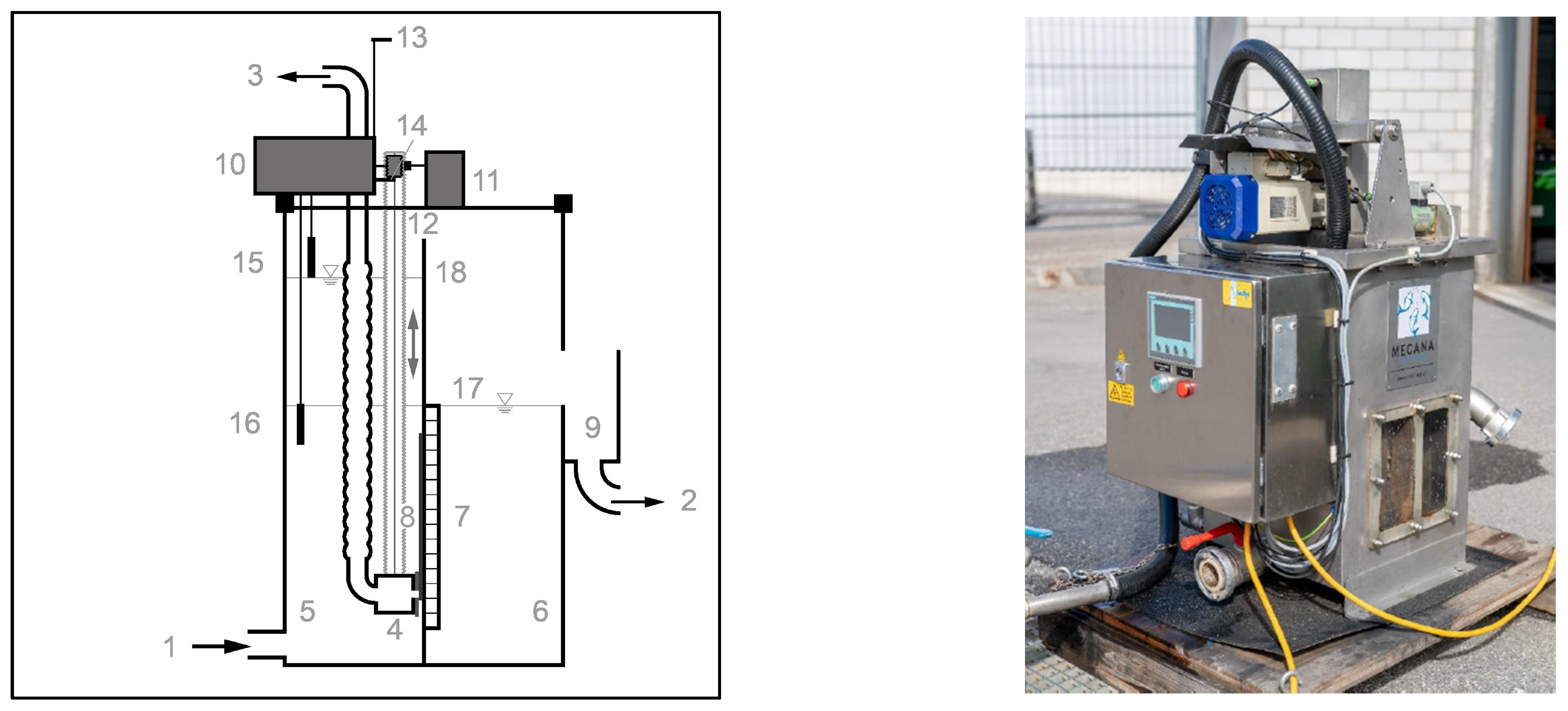 Fermentation 10 00325 g003