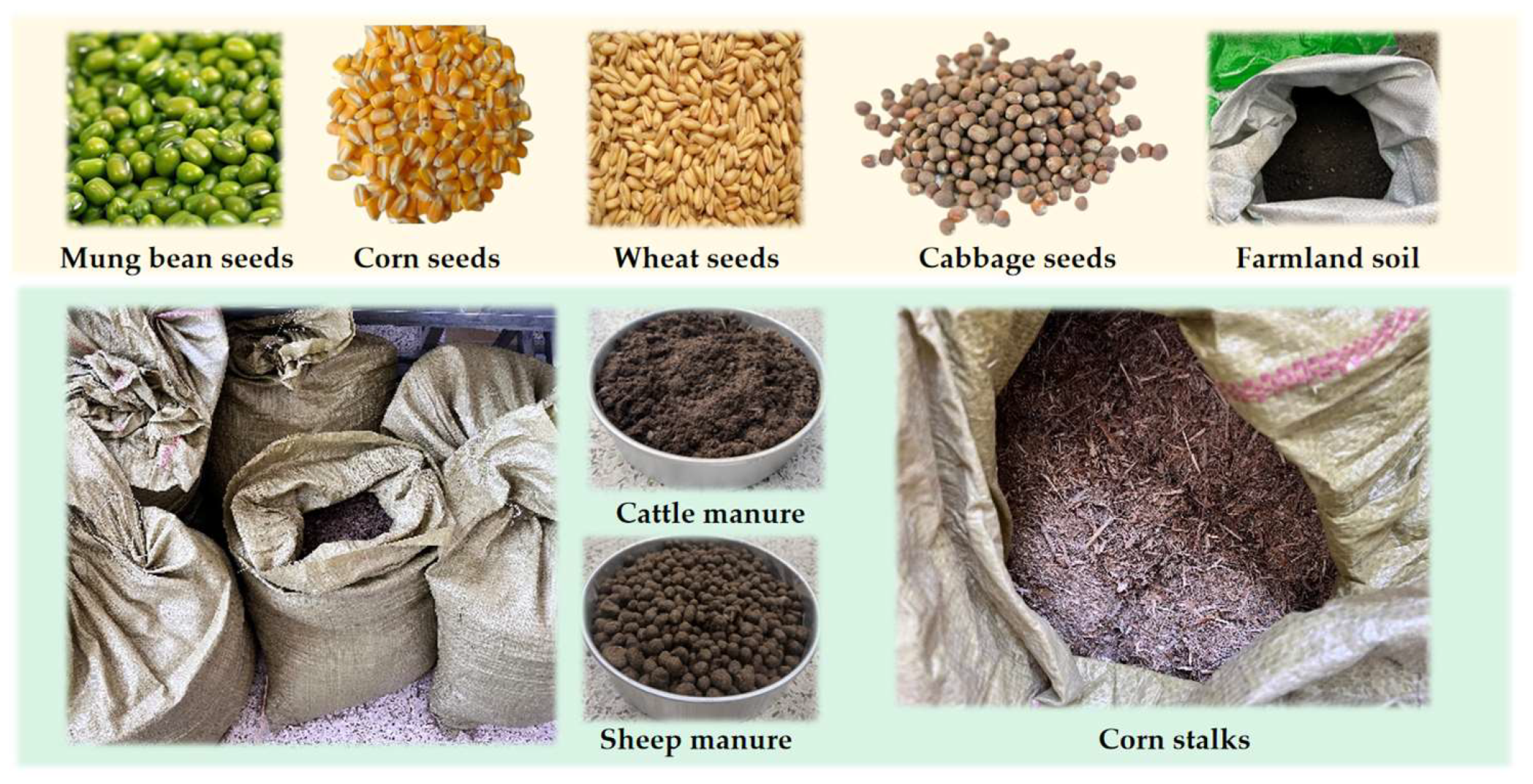 Fermentation 10 00328 g003