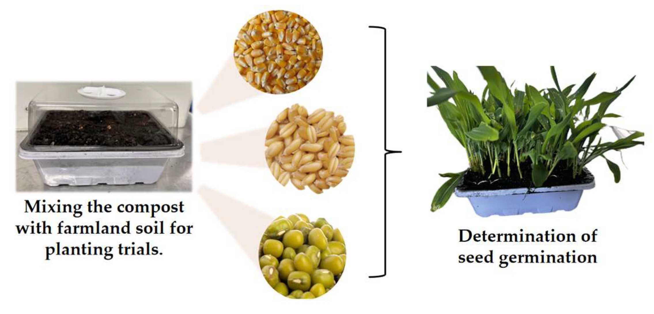 Fermentation 10 00328 g005
