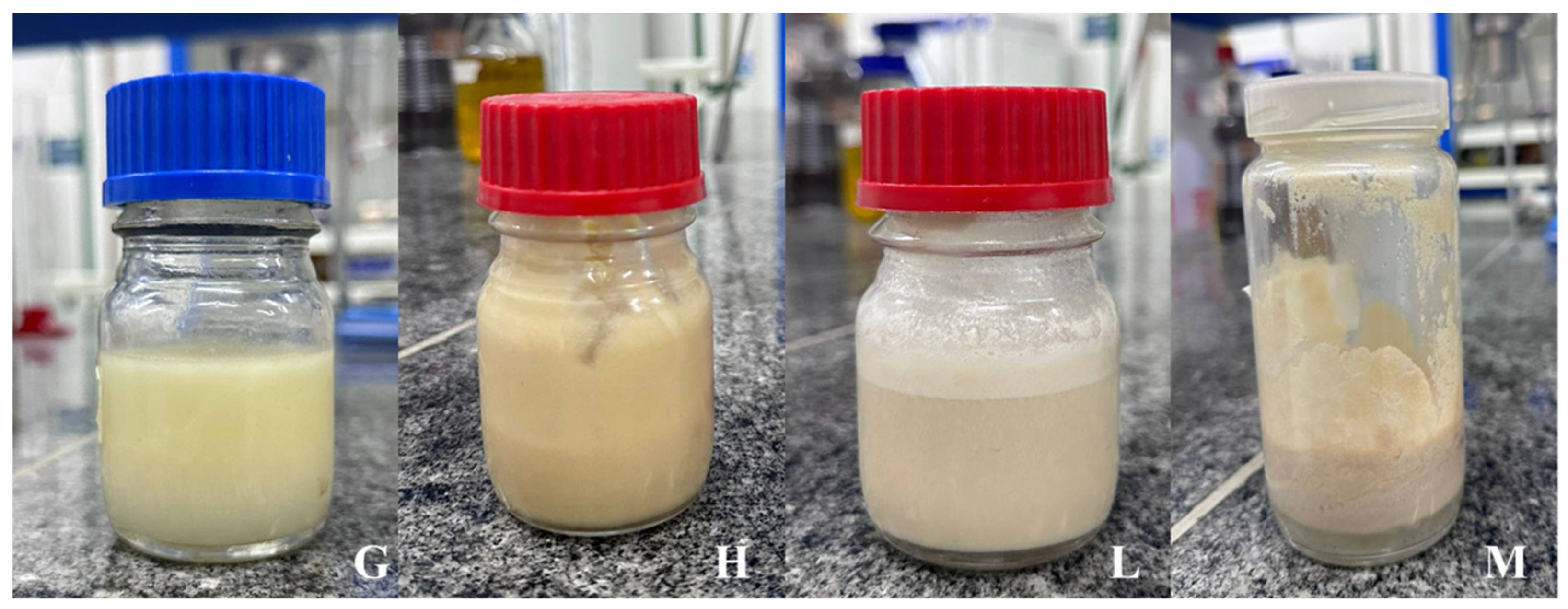 Fermentation 10 00332 g001