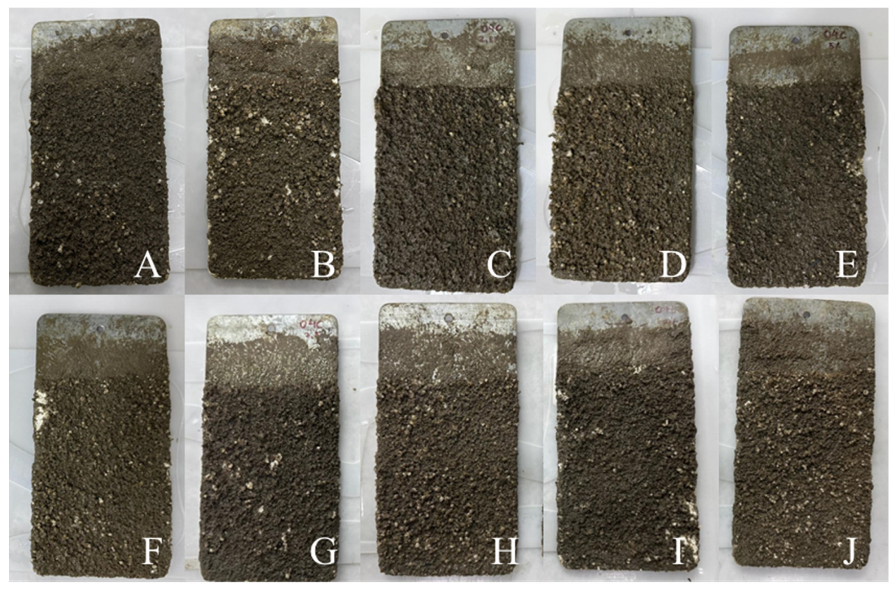 Fermentation 10 00332 g003