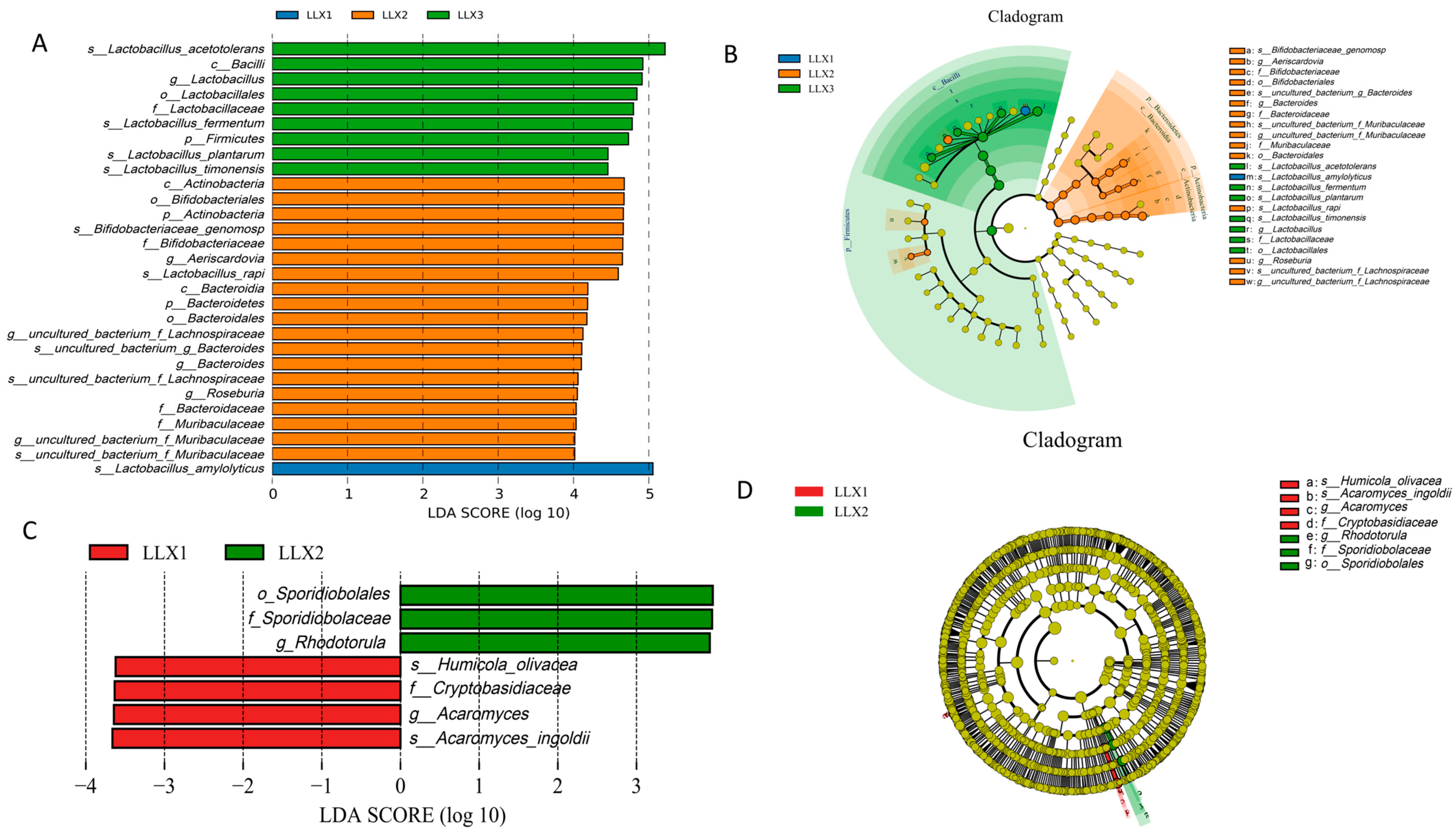 Fermentation 10 00333 g004