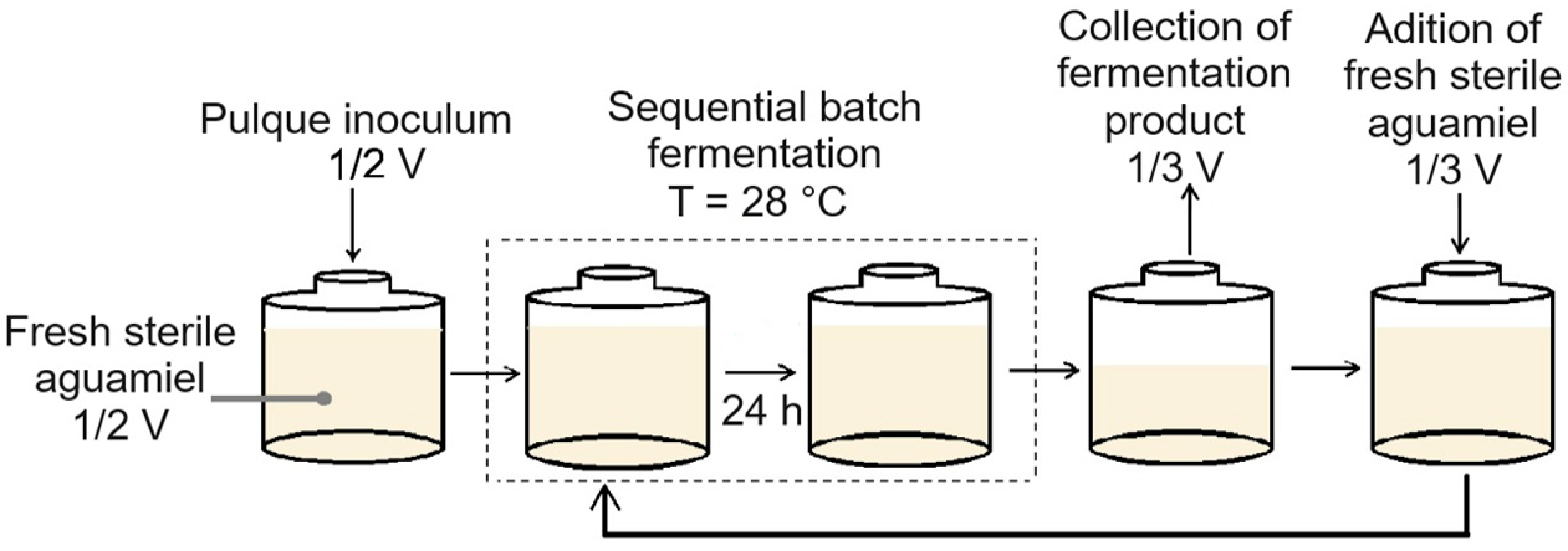 Fermentation 10 00342 g001