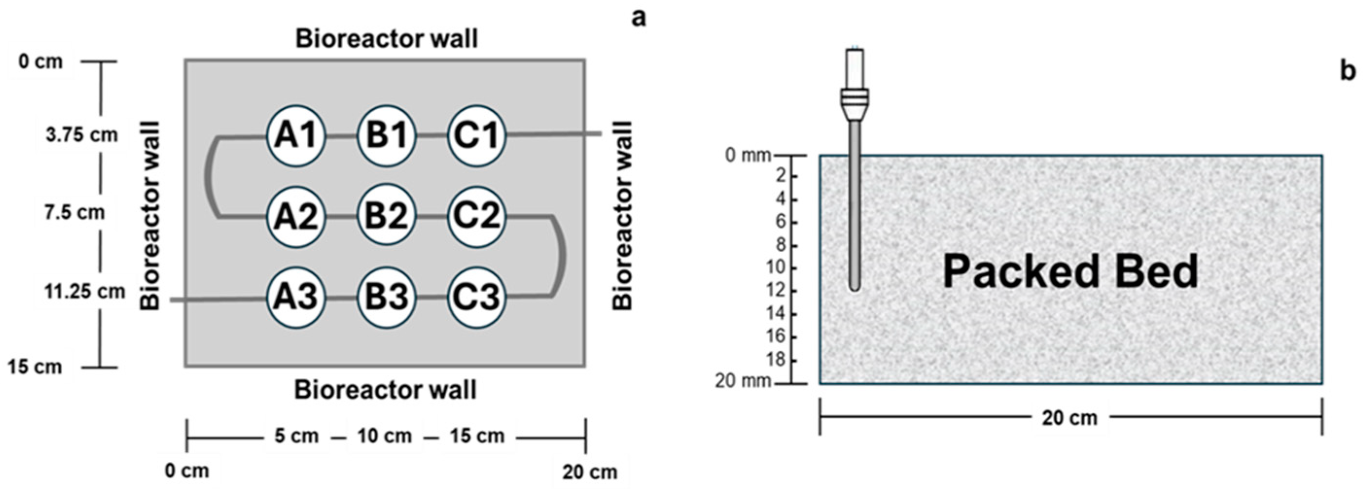 Fermentation 10 00344 g003