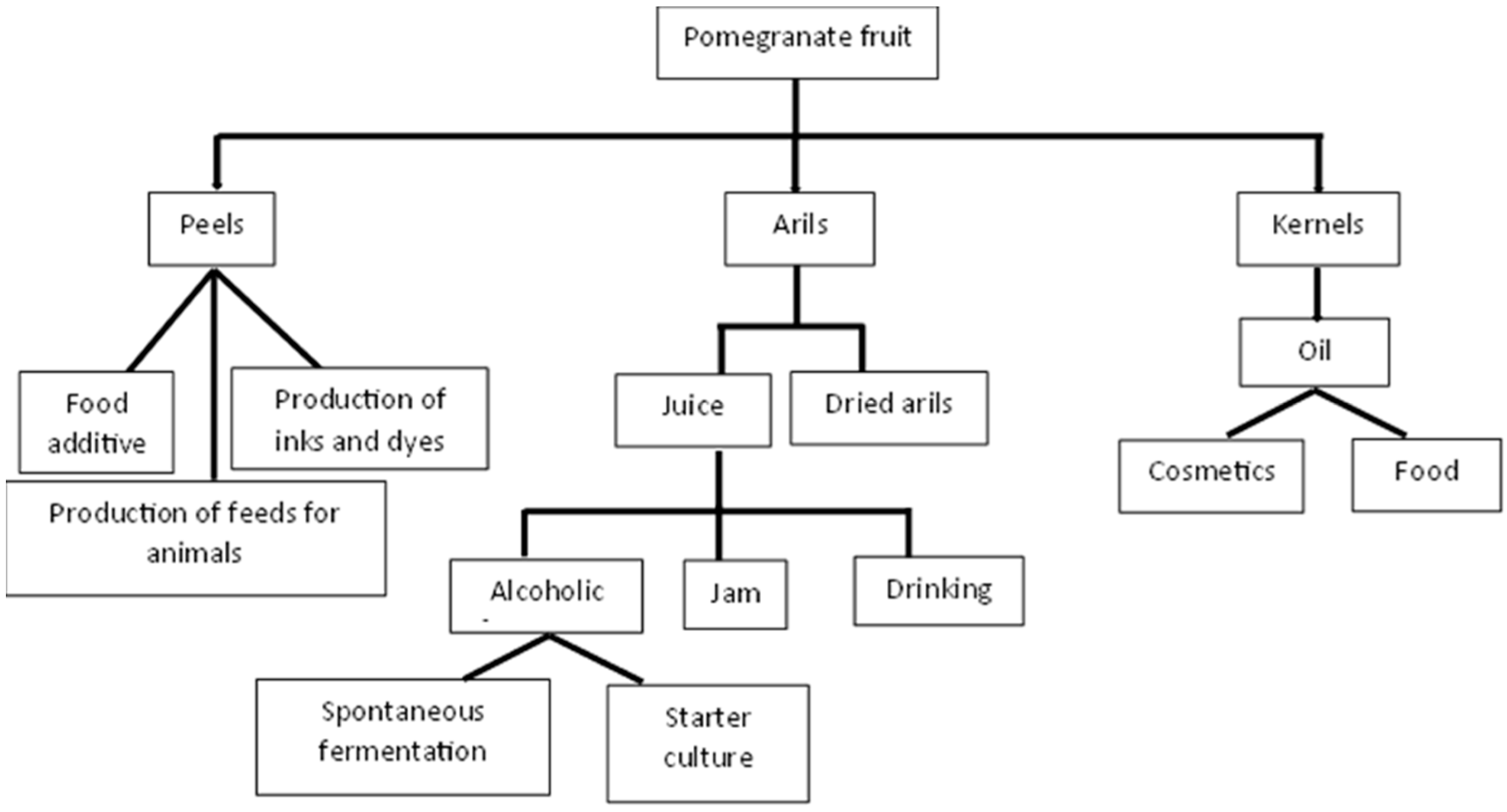 Fermentation 10 00348 g002