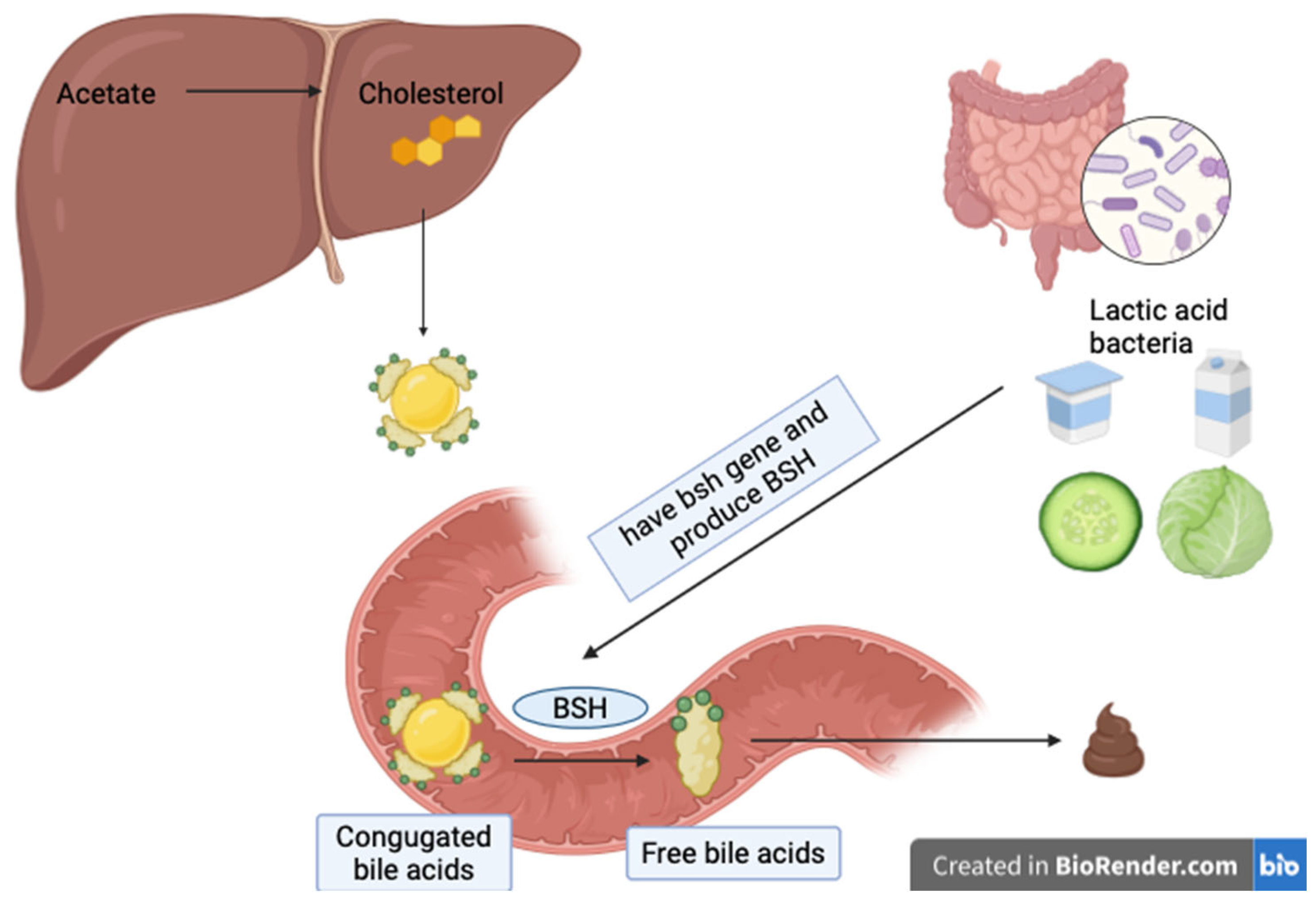 Fermentation 10 00350 g001
