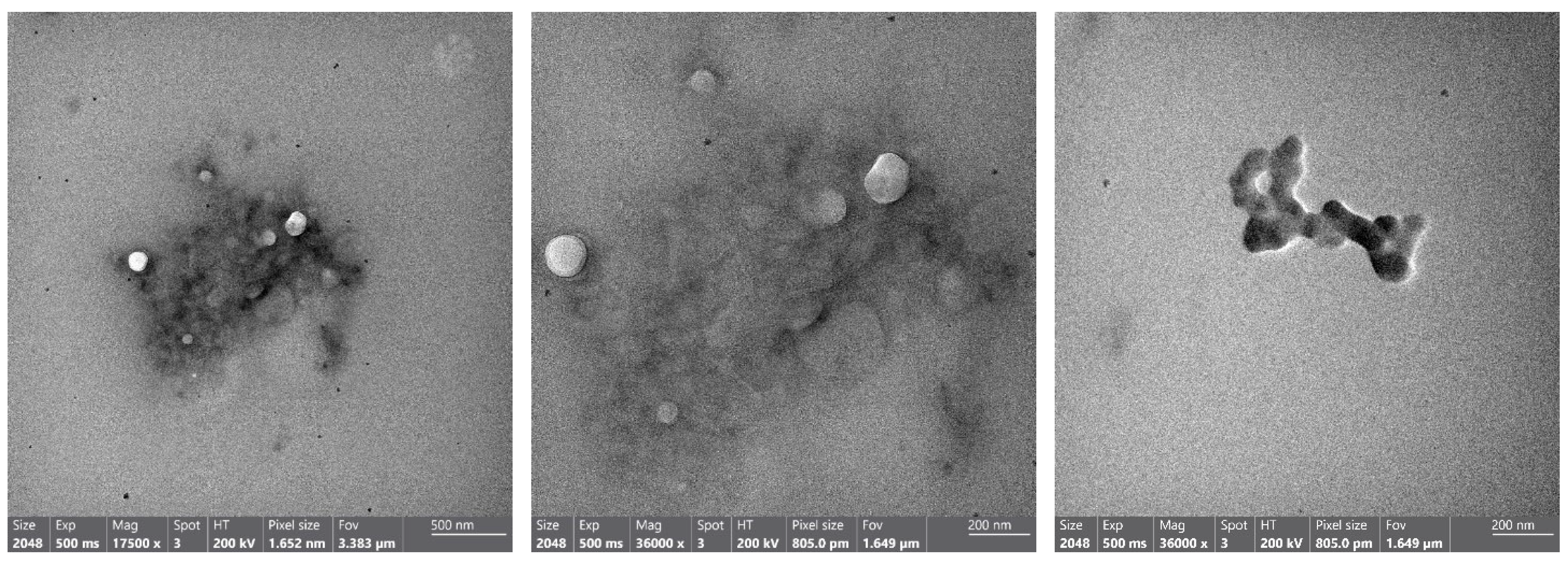 Fermentation 10 00354 g011