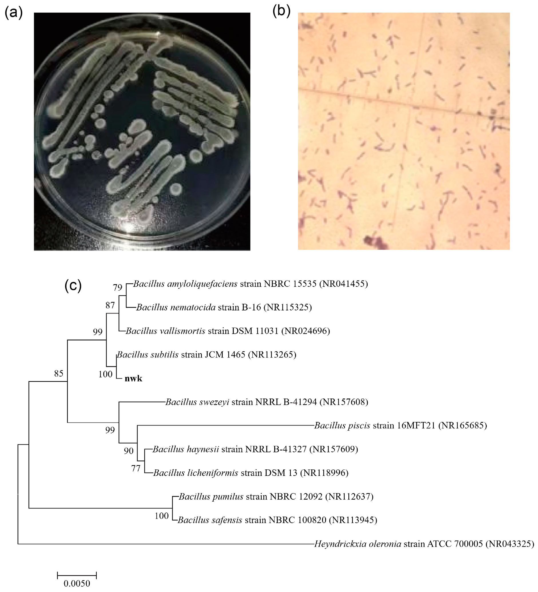 Fermentation 10 00355 g001
