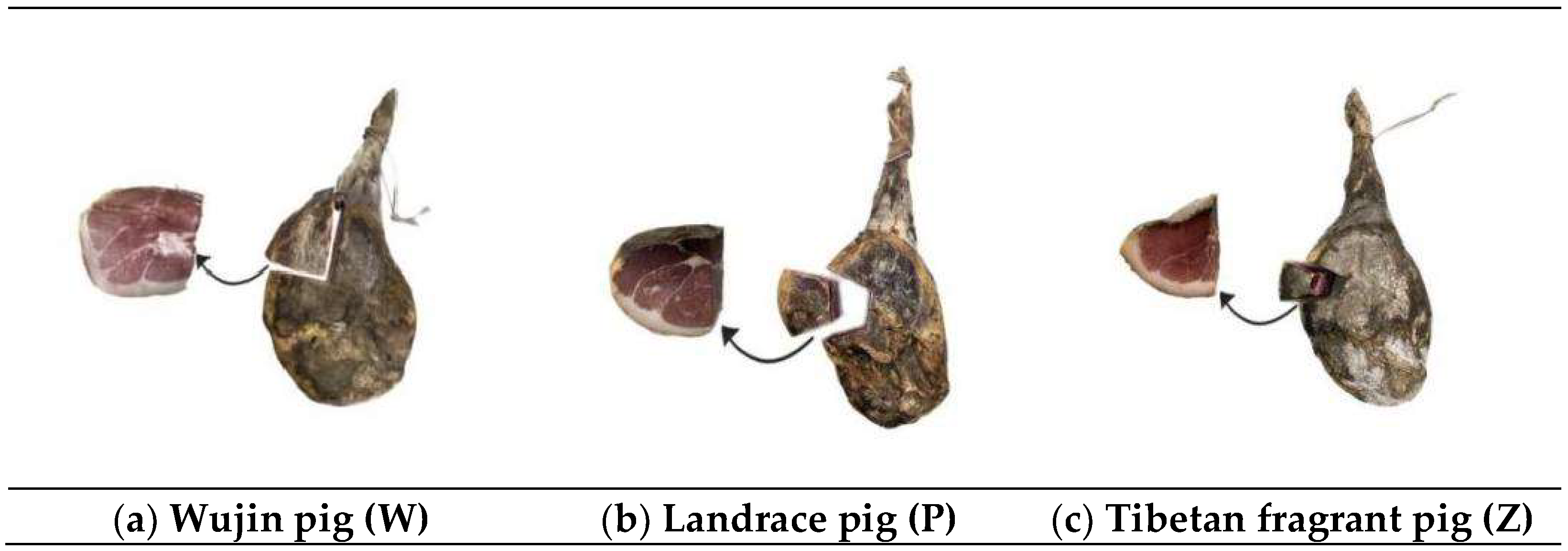 Fermentation 10 00358 g001 Fermentation 10 00358 g001