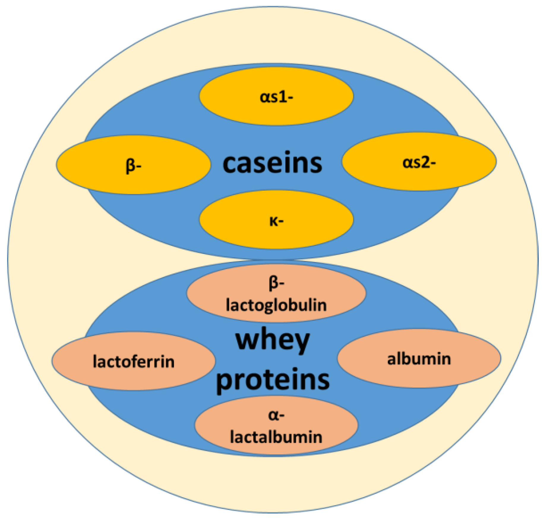Fermentation 10 00359 g001