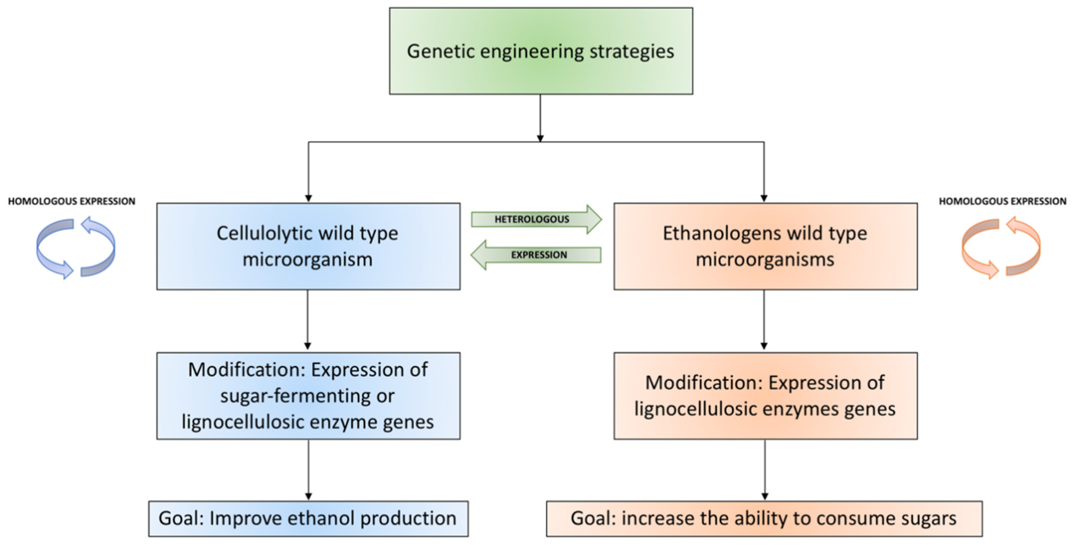 Fermentation 10 00361 g003 Fermentation 10 00361 g003