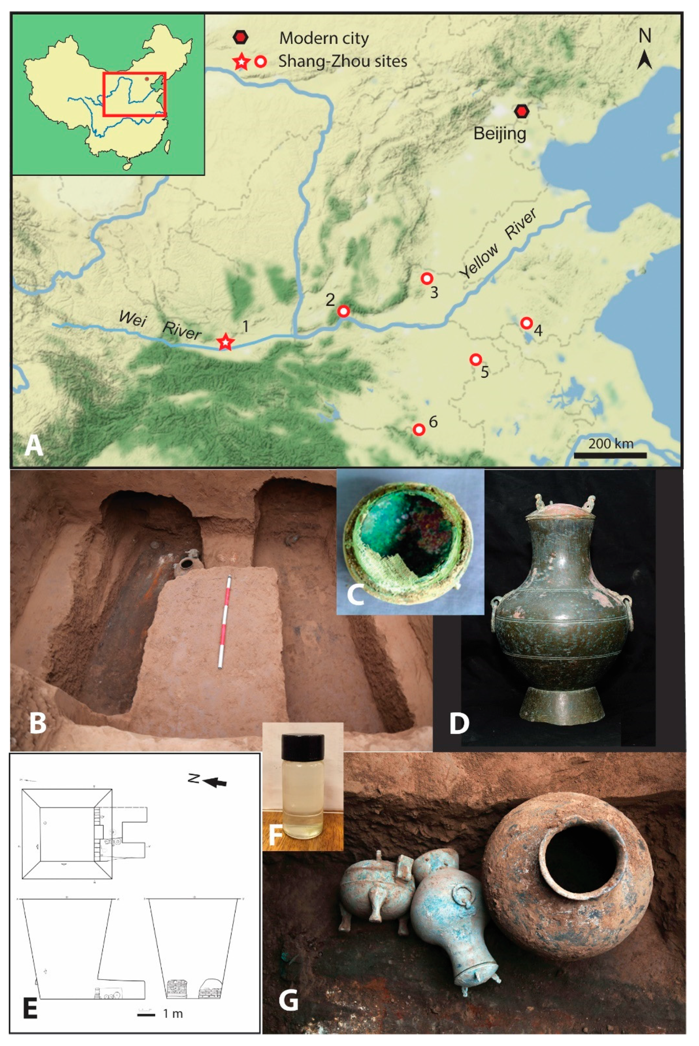 Fermentation 10 00365 g001 Fermentation 10 00365 g001