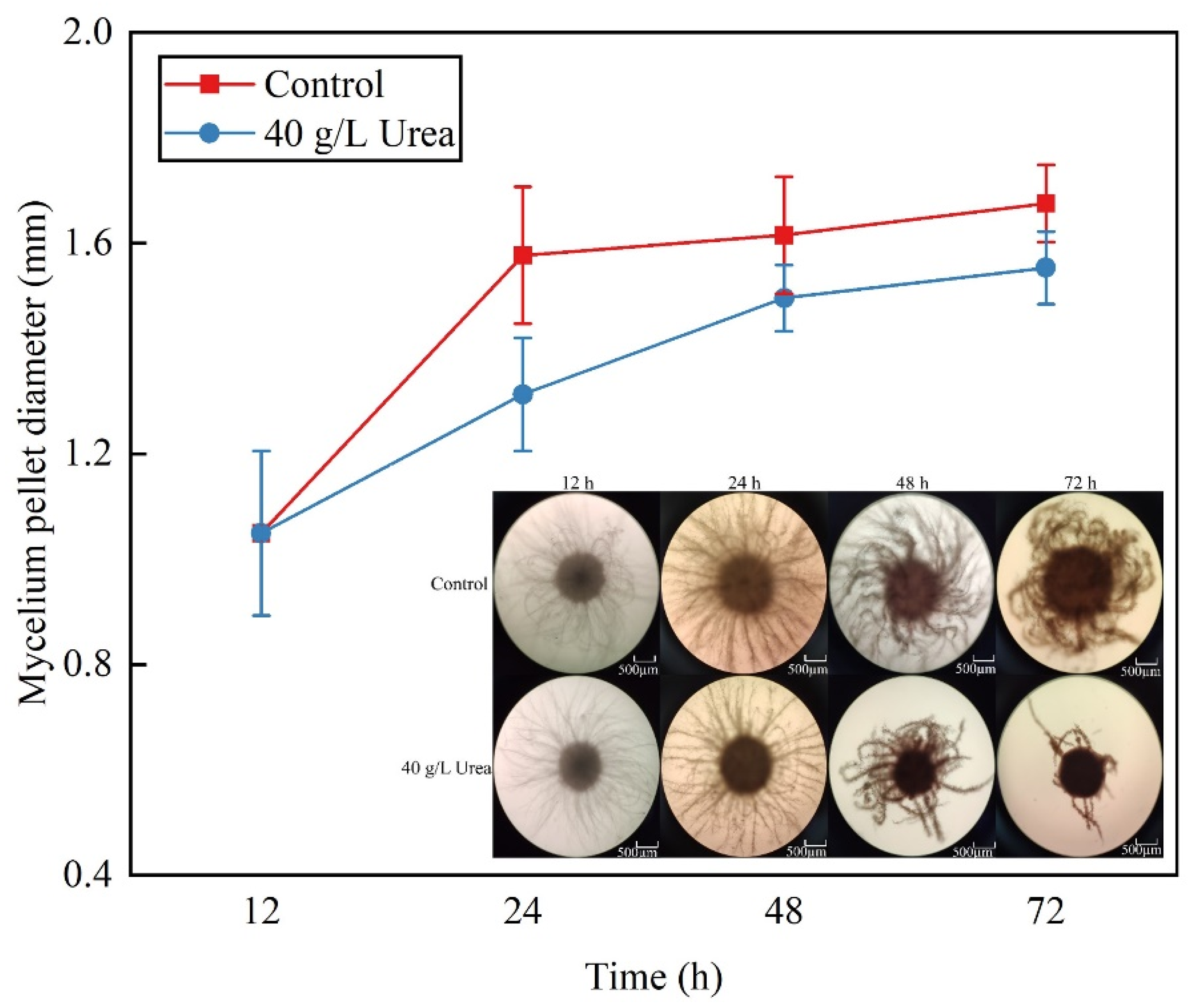 Fermentation 10 00381 g002