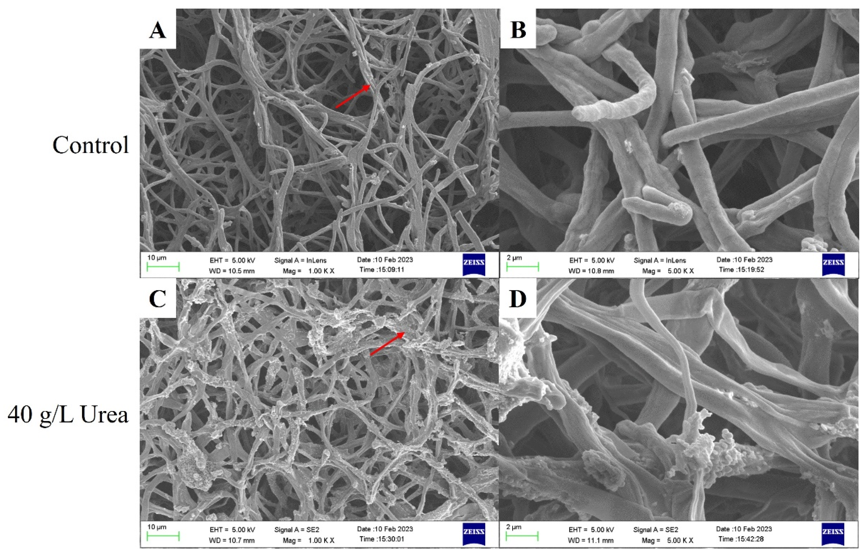 Fermentation 10 00381 g003