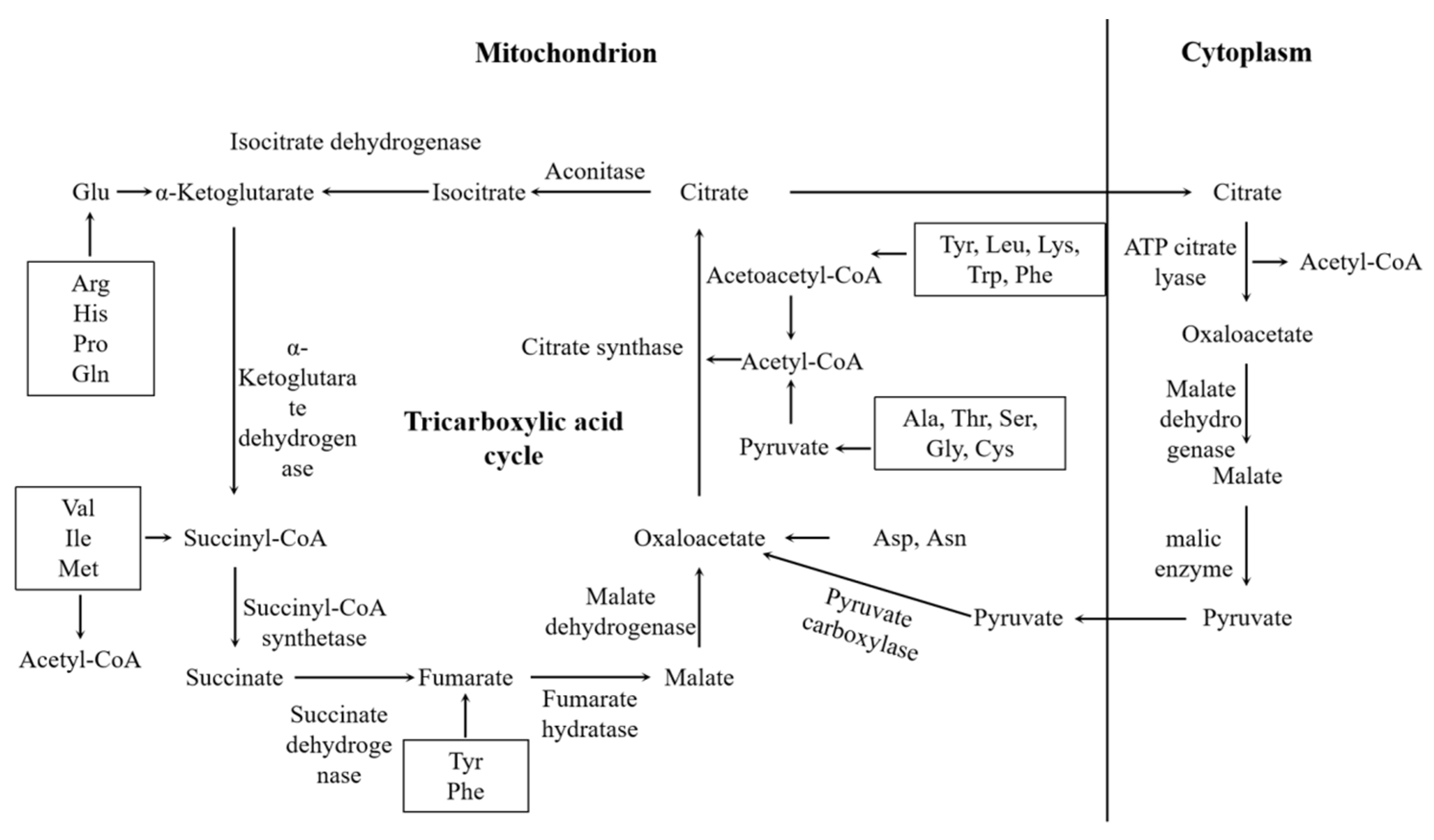 Fermentation 10 00381 g005