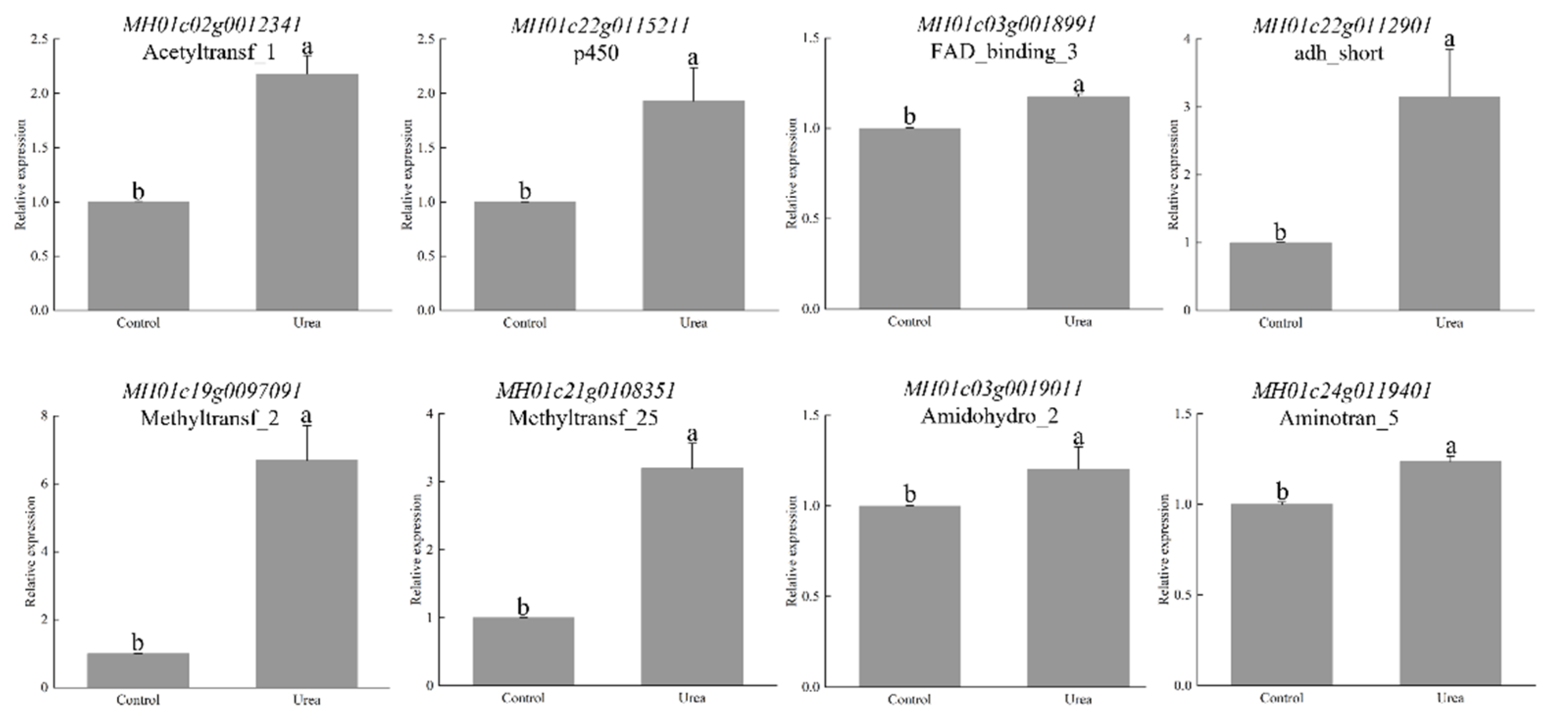 Fermentation 10 00381 g007